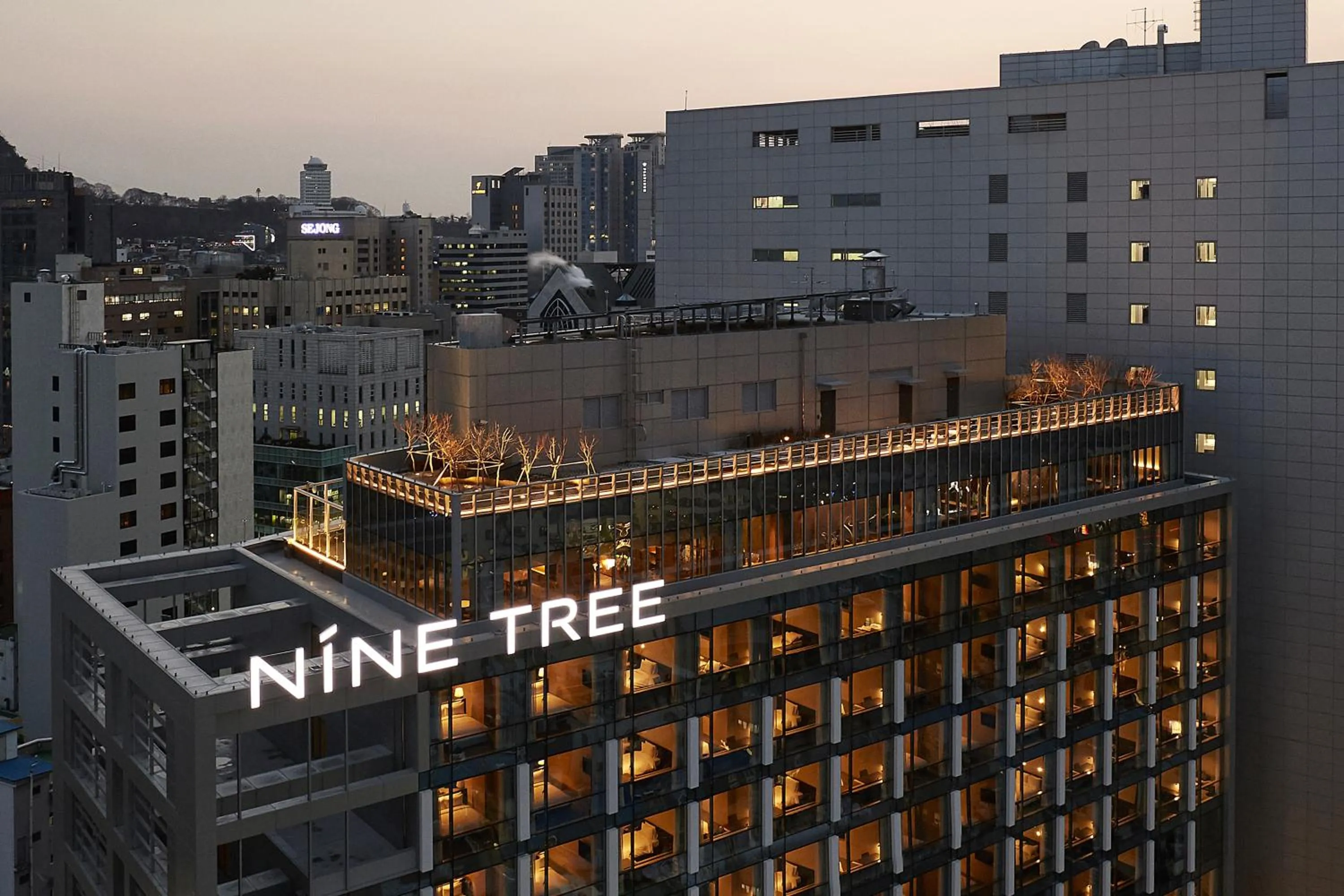Property building in Nine Tree by Parnas Seoul Myeongdong 2