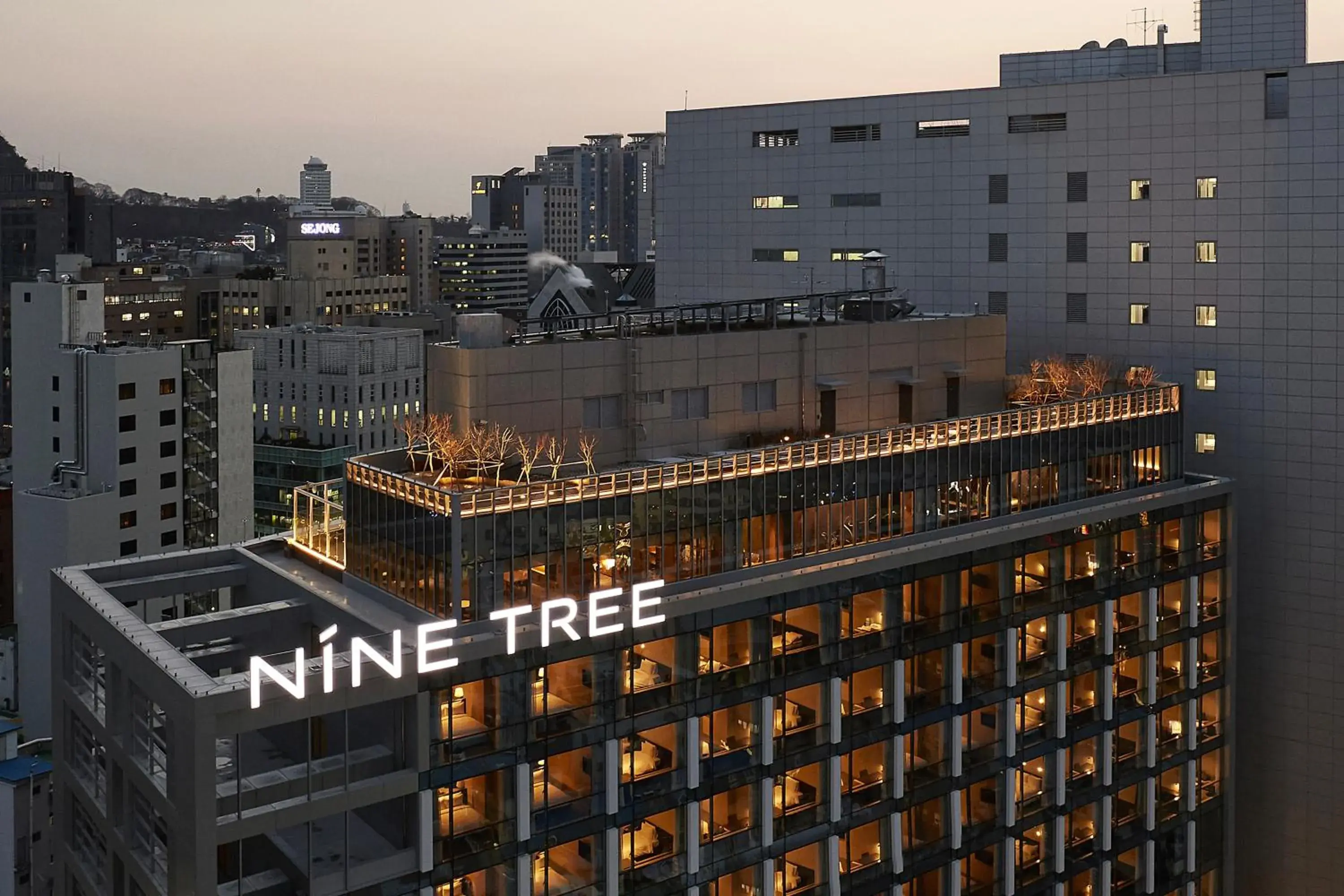 Property building in Nine Tree by Parnas Seoul Myeongdong 2 Property building in Nine Tree by Parnas Seoul Myeongdong 2