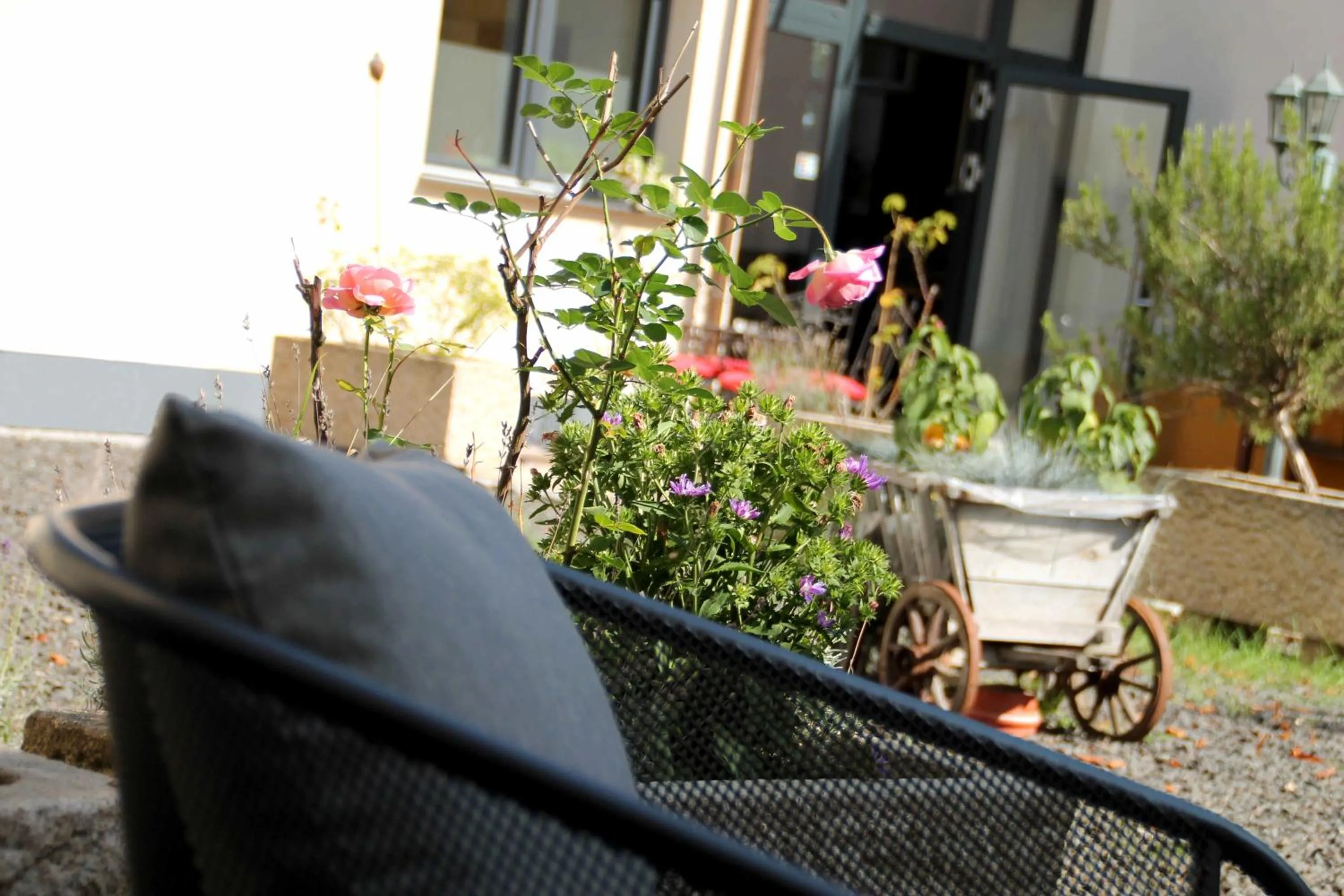 Patio in Hotel Bruckertshof