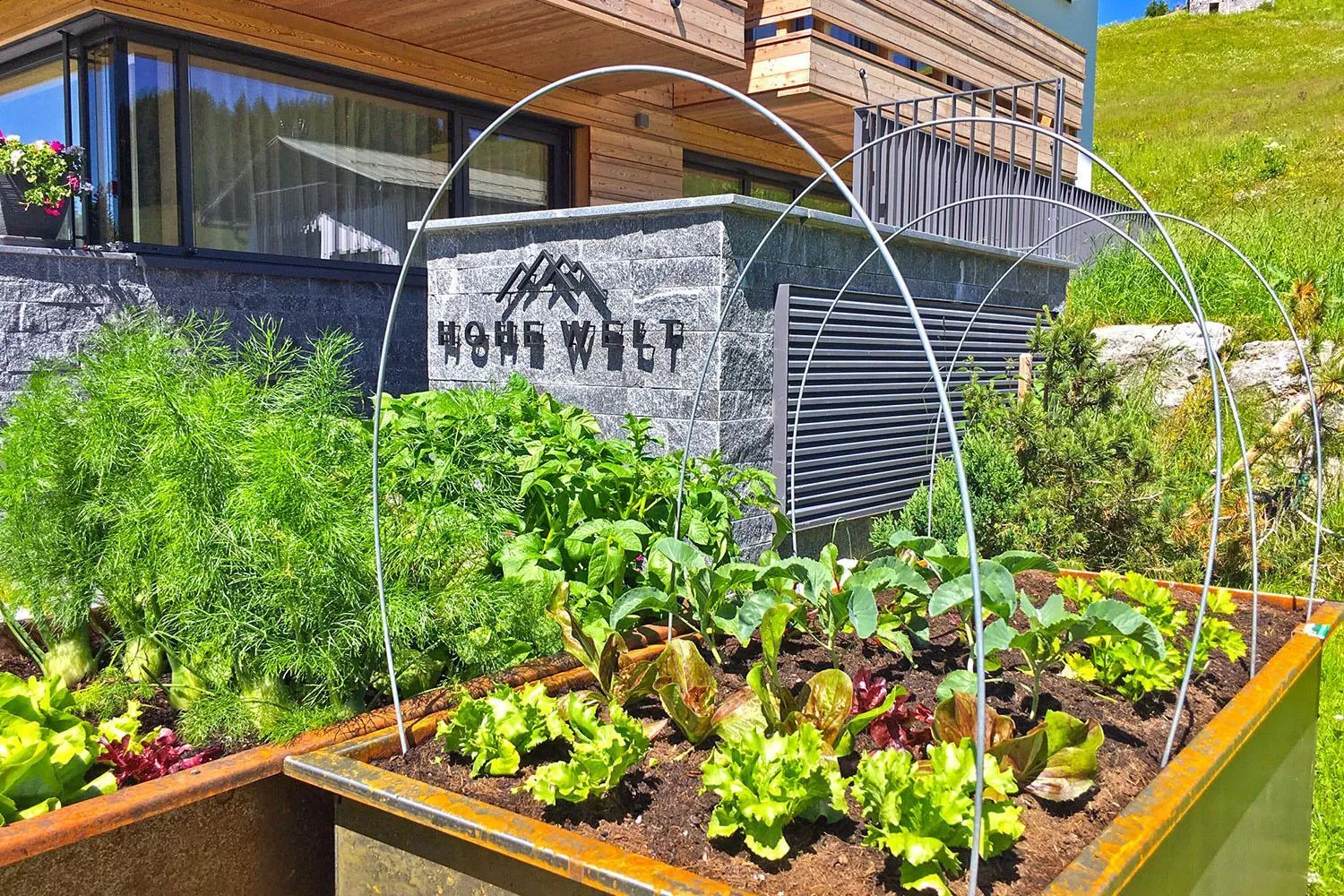 Summer in Chalet Hohe Welt - luxury apartments