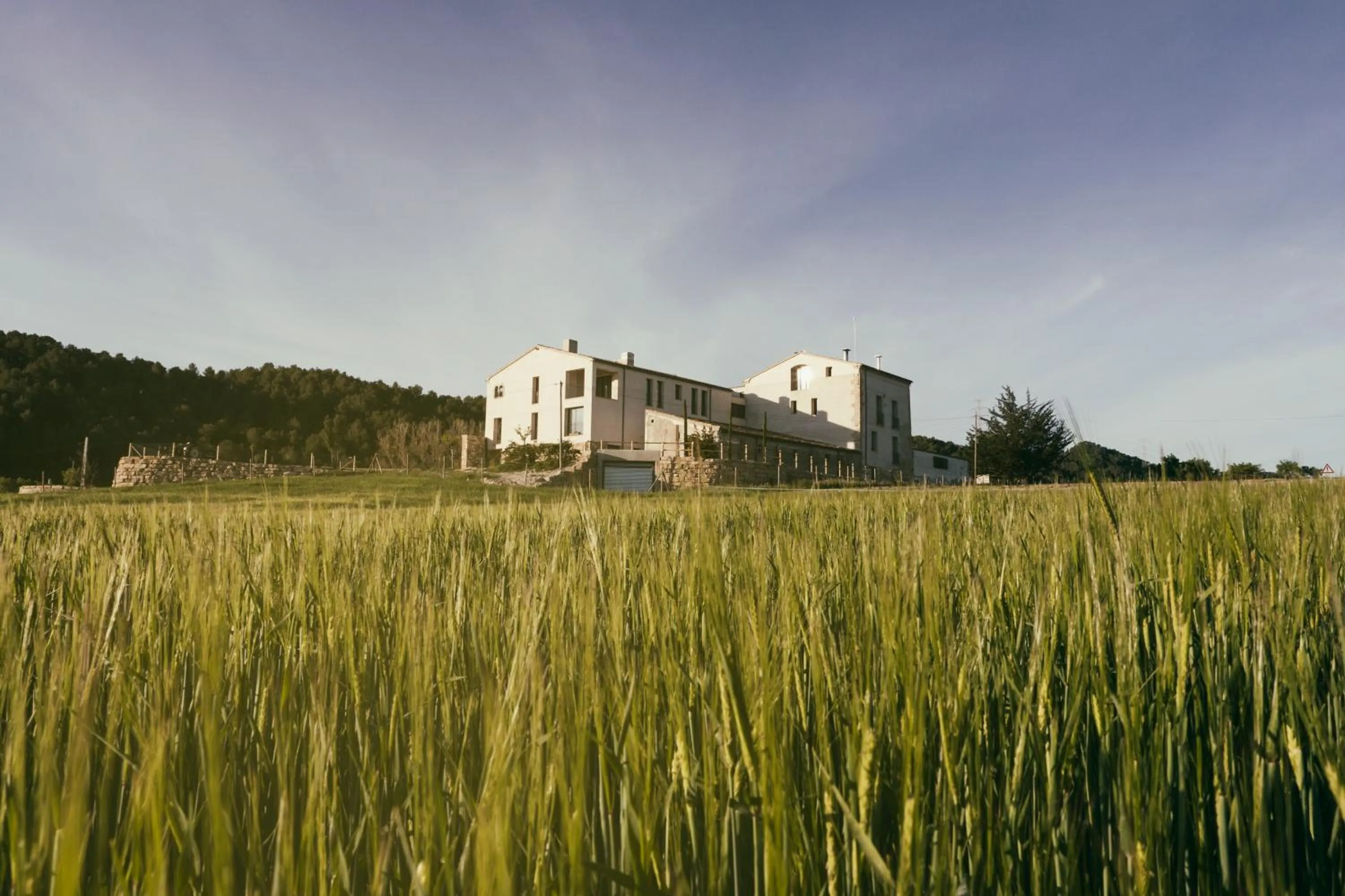 Facade/entrance in Can Alemany