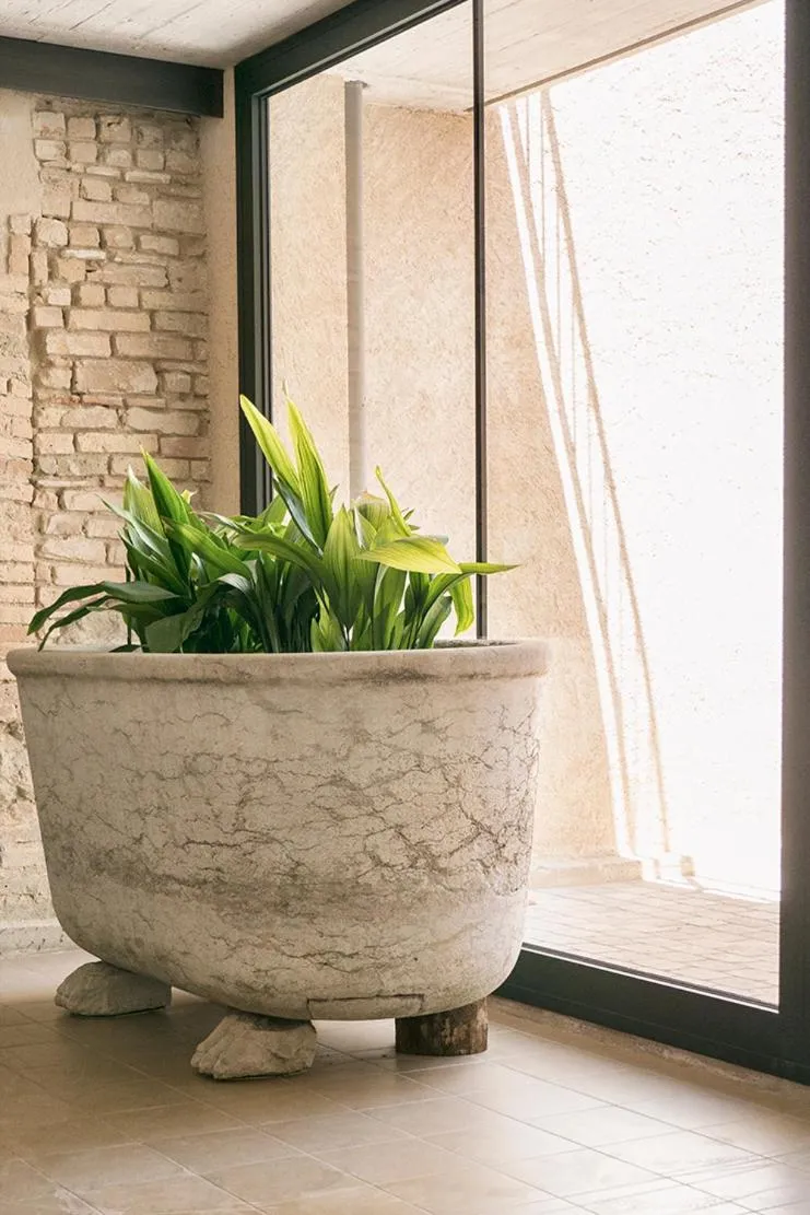 Lobby or reception in Can Alemany