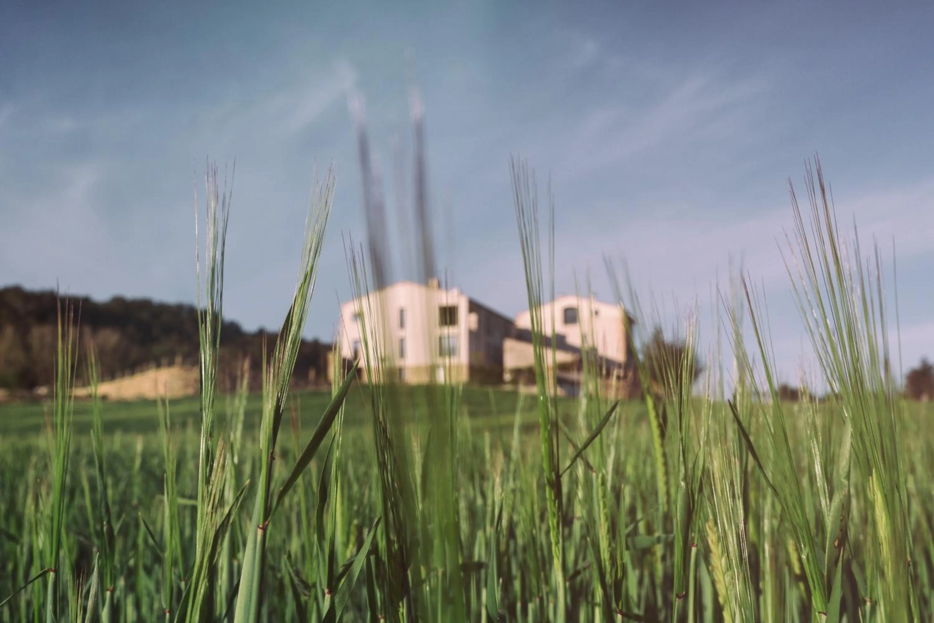 Facade/entrance in Can Alemany