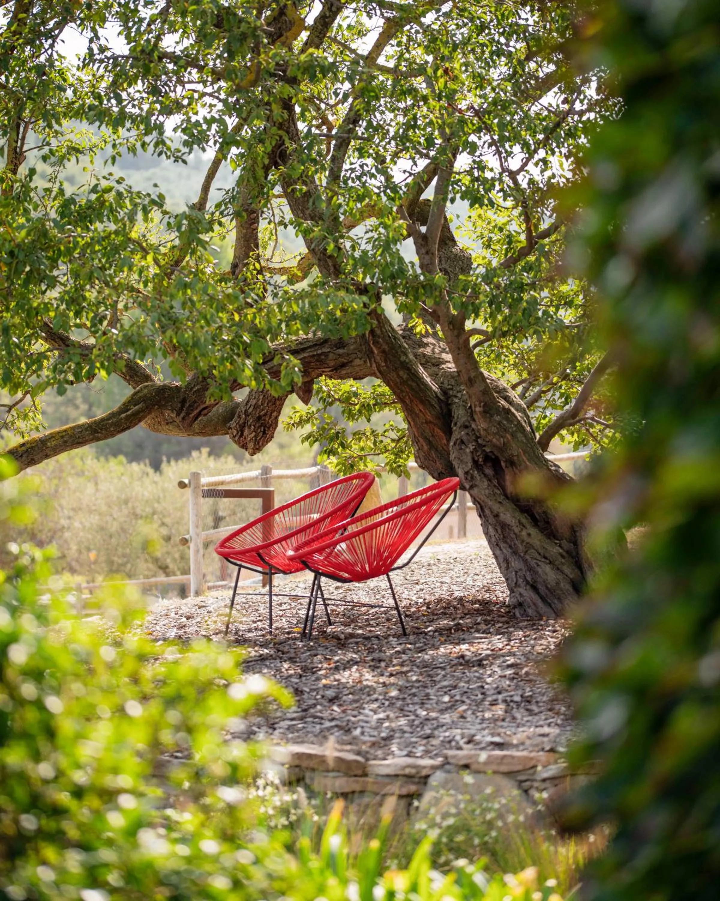 Garden in Can Alemany