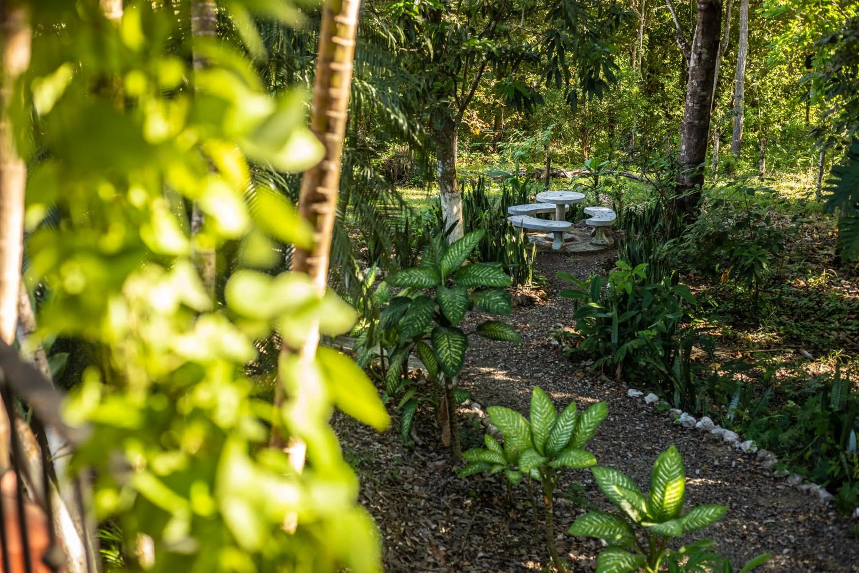 Natural landscape in Hotel Hacienda del Mar