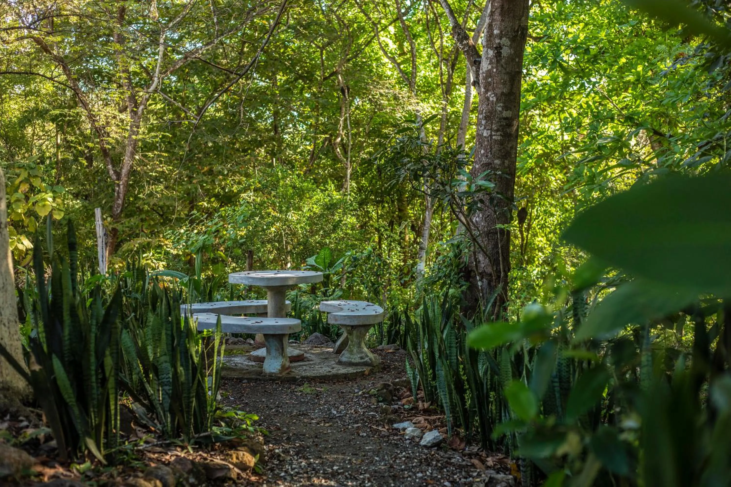 Natural landscape in Hotel Hacienda del Mar
