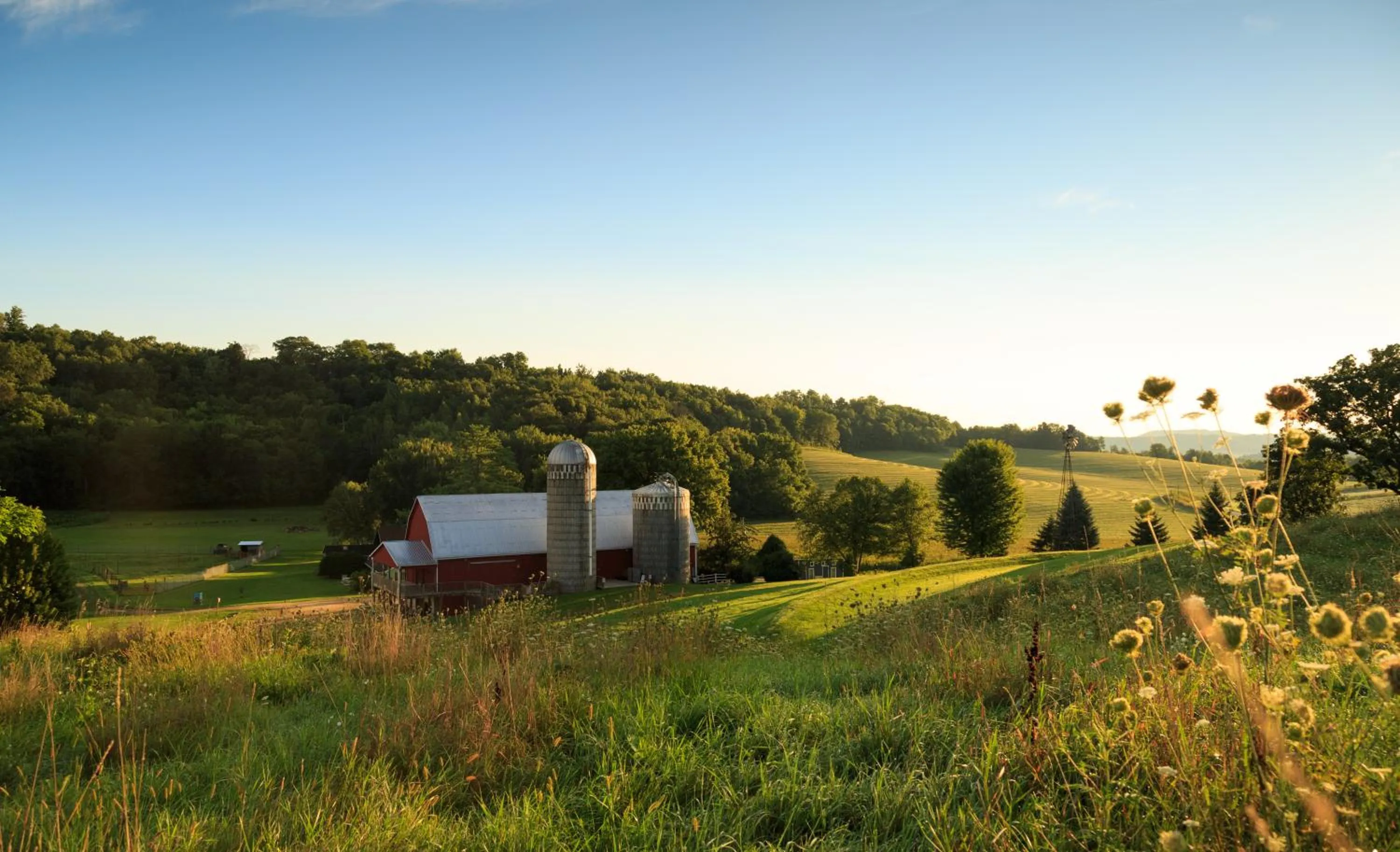 Natural landscape in Justin Trails Resort