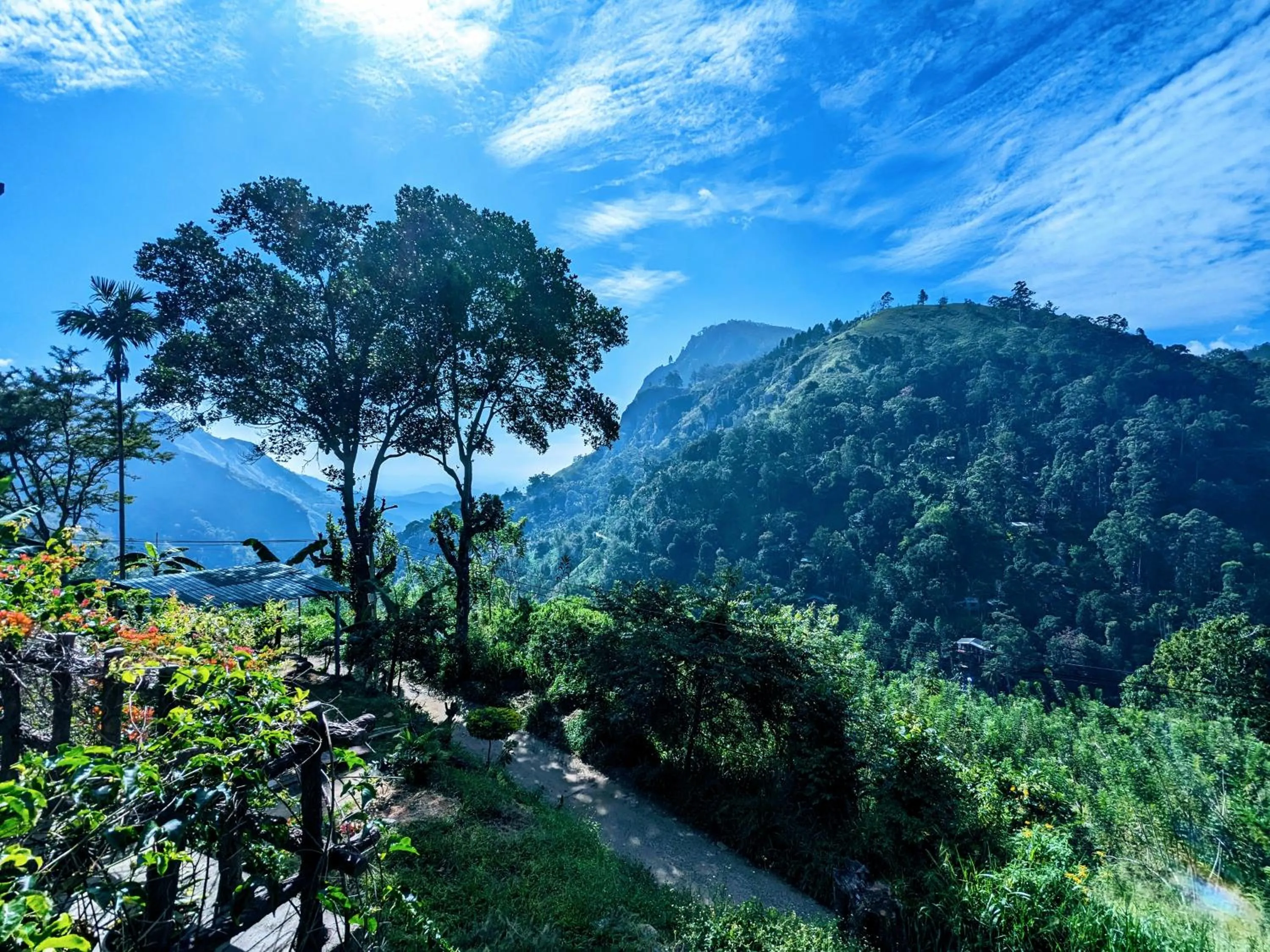 Lavendra Paradise