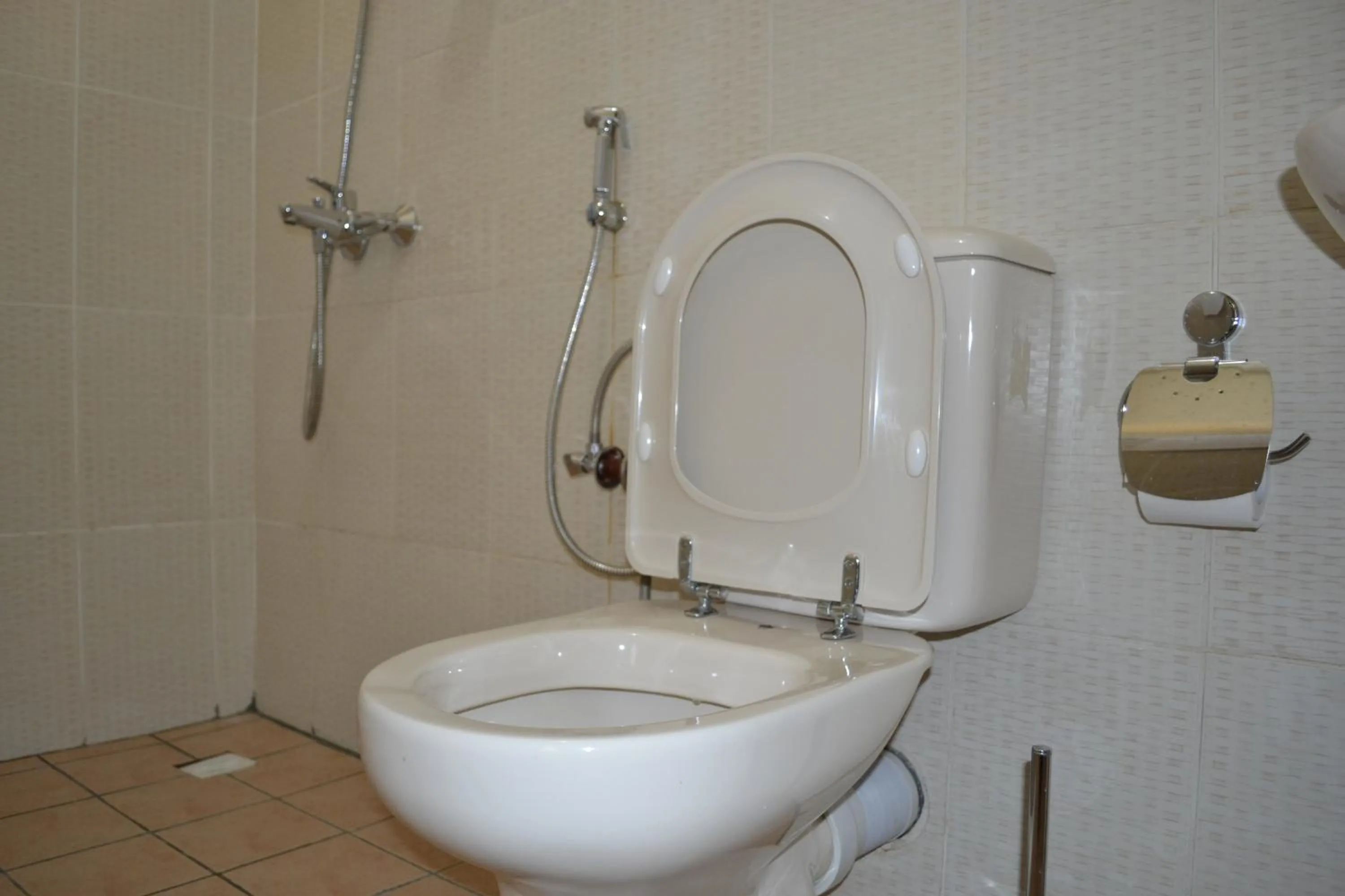 Toilet in Zakinn Hotel Gangilonga