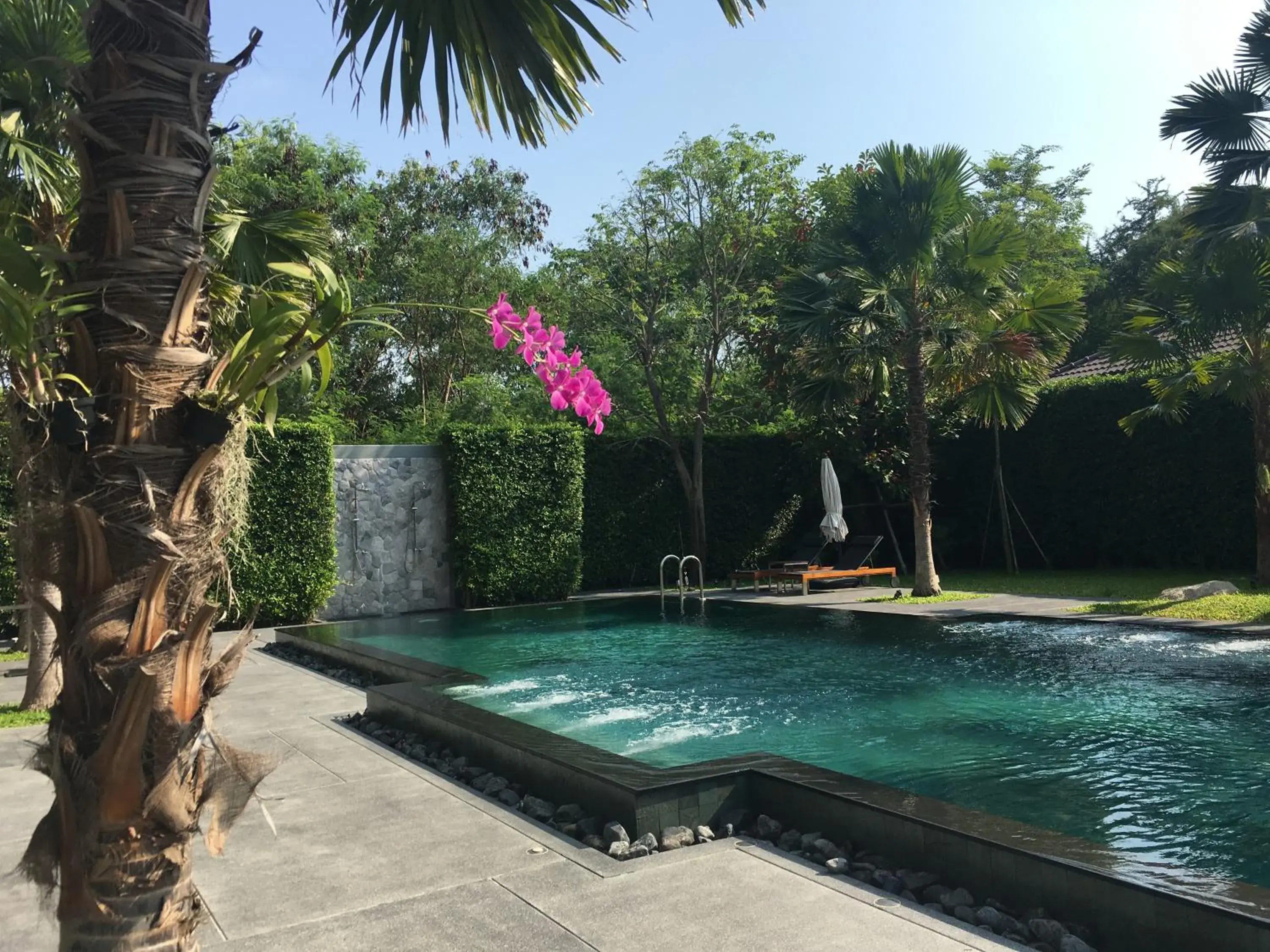 Natural landscape, Swimming Pool in The Sala Pattaya - SHA Certified