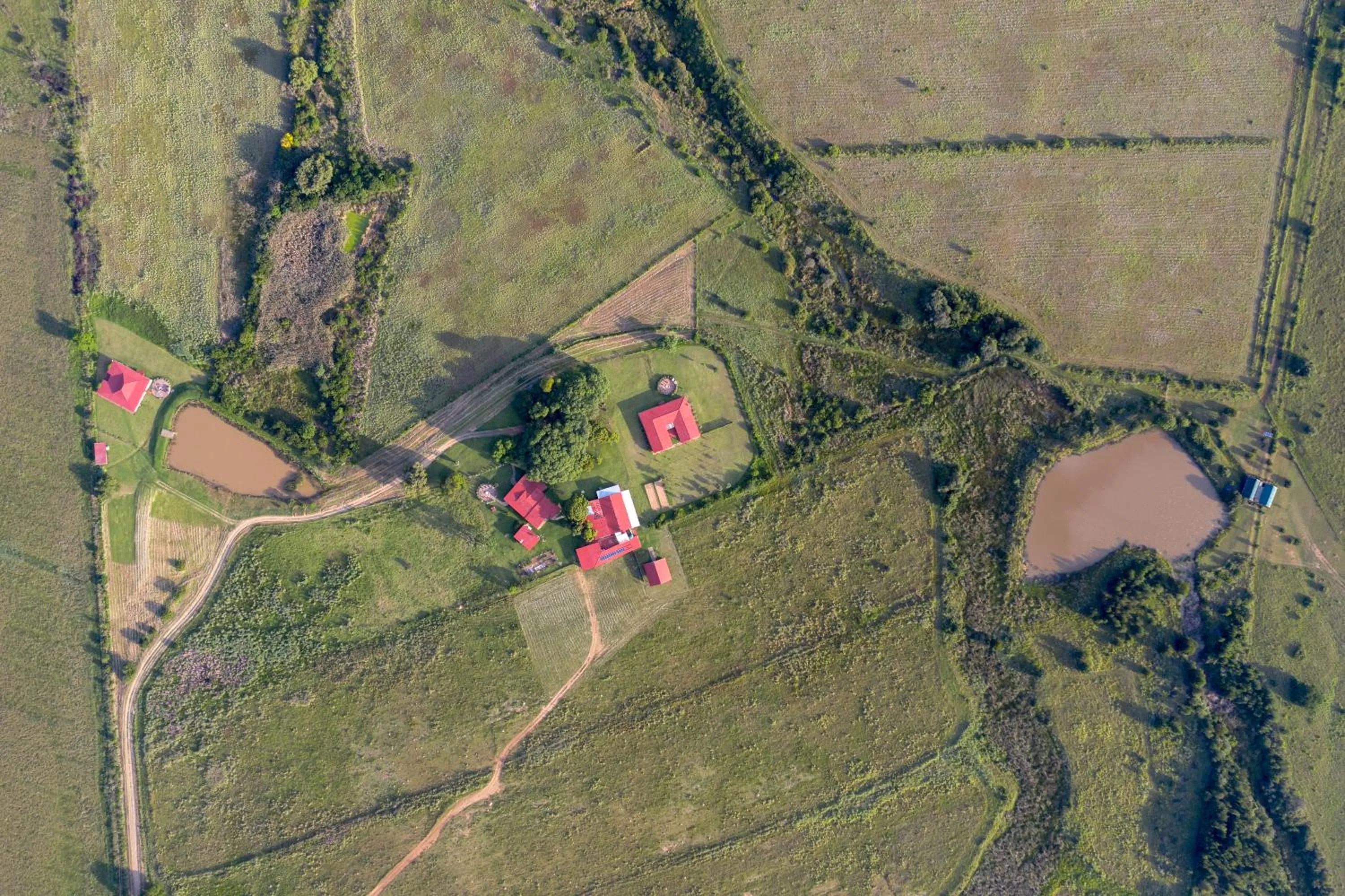 Bird's eye view in The Cowshed