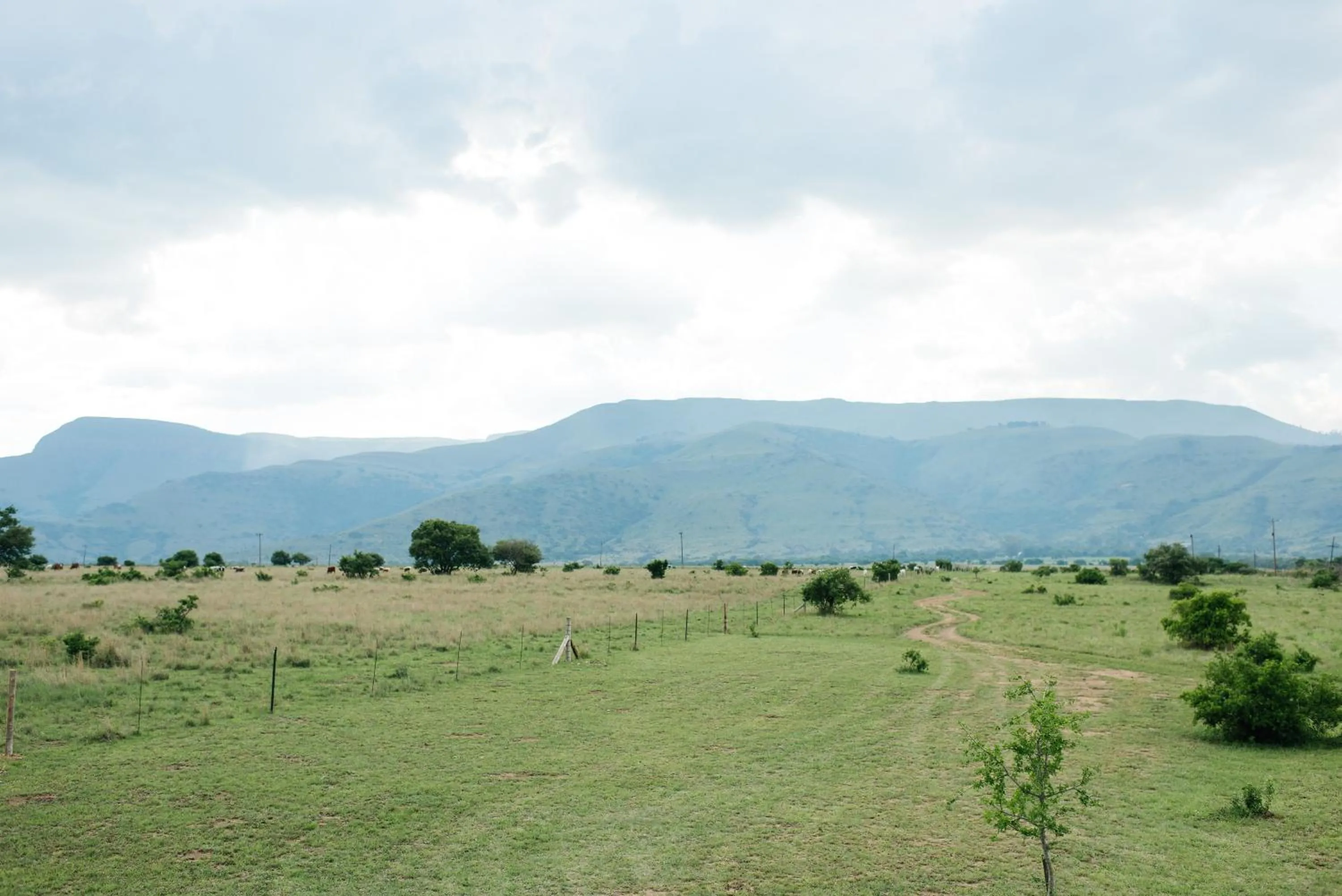 Mountain view in The Cowshed