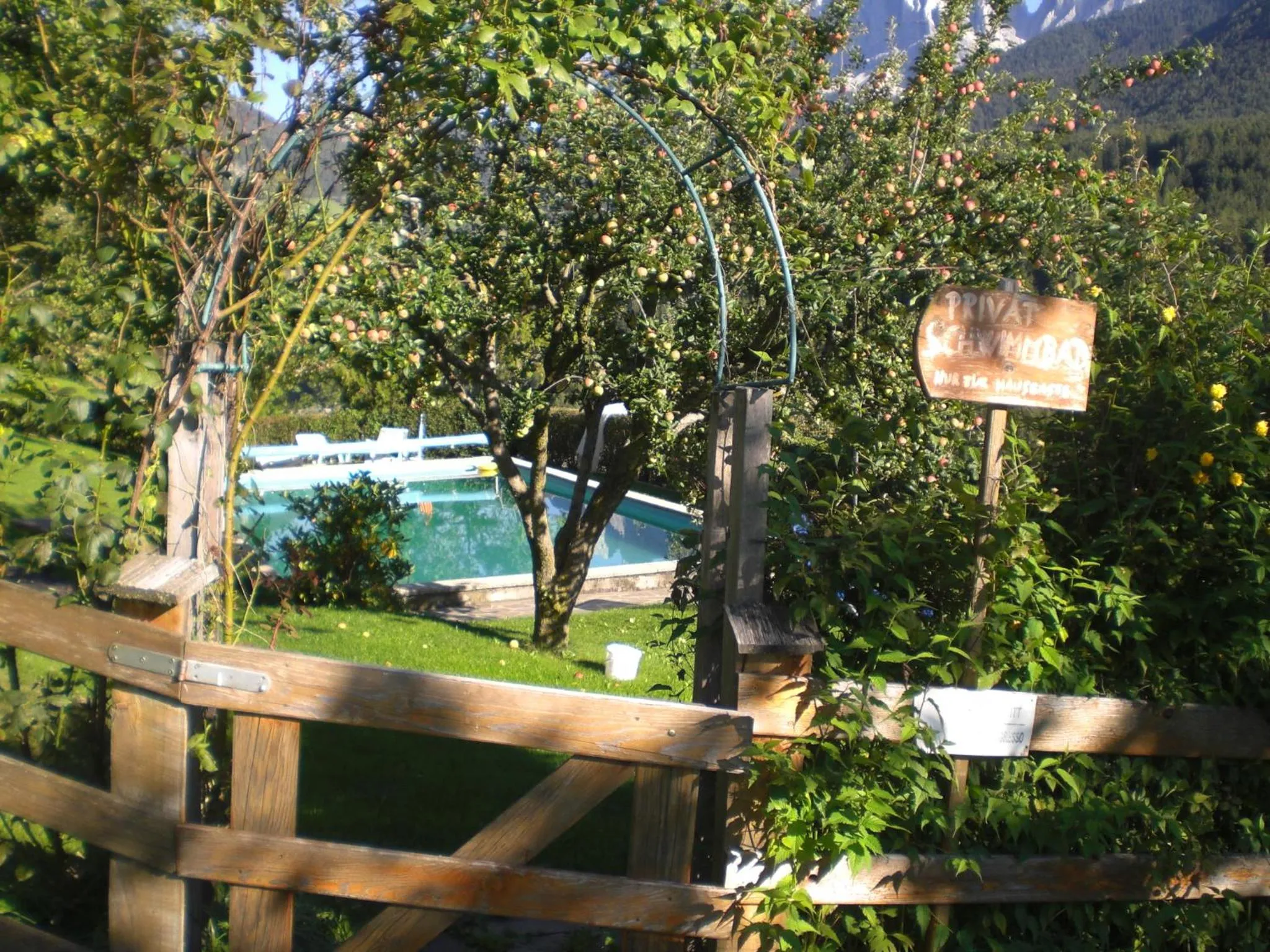 Swimming pool in Hotel Gsoihof