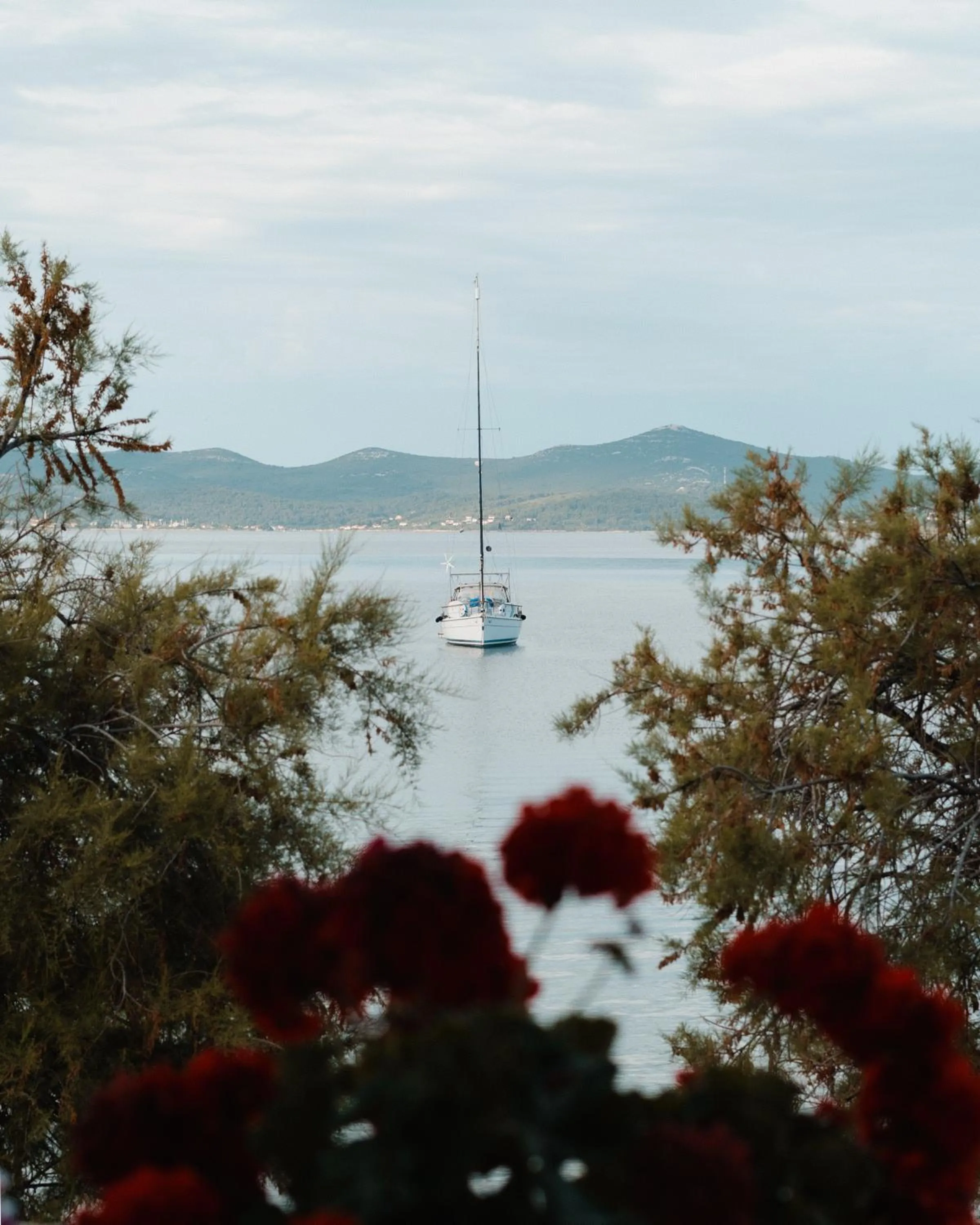 Sea view in Villa Nico