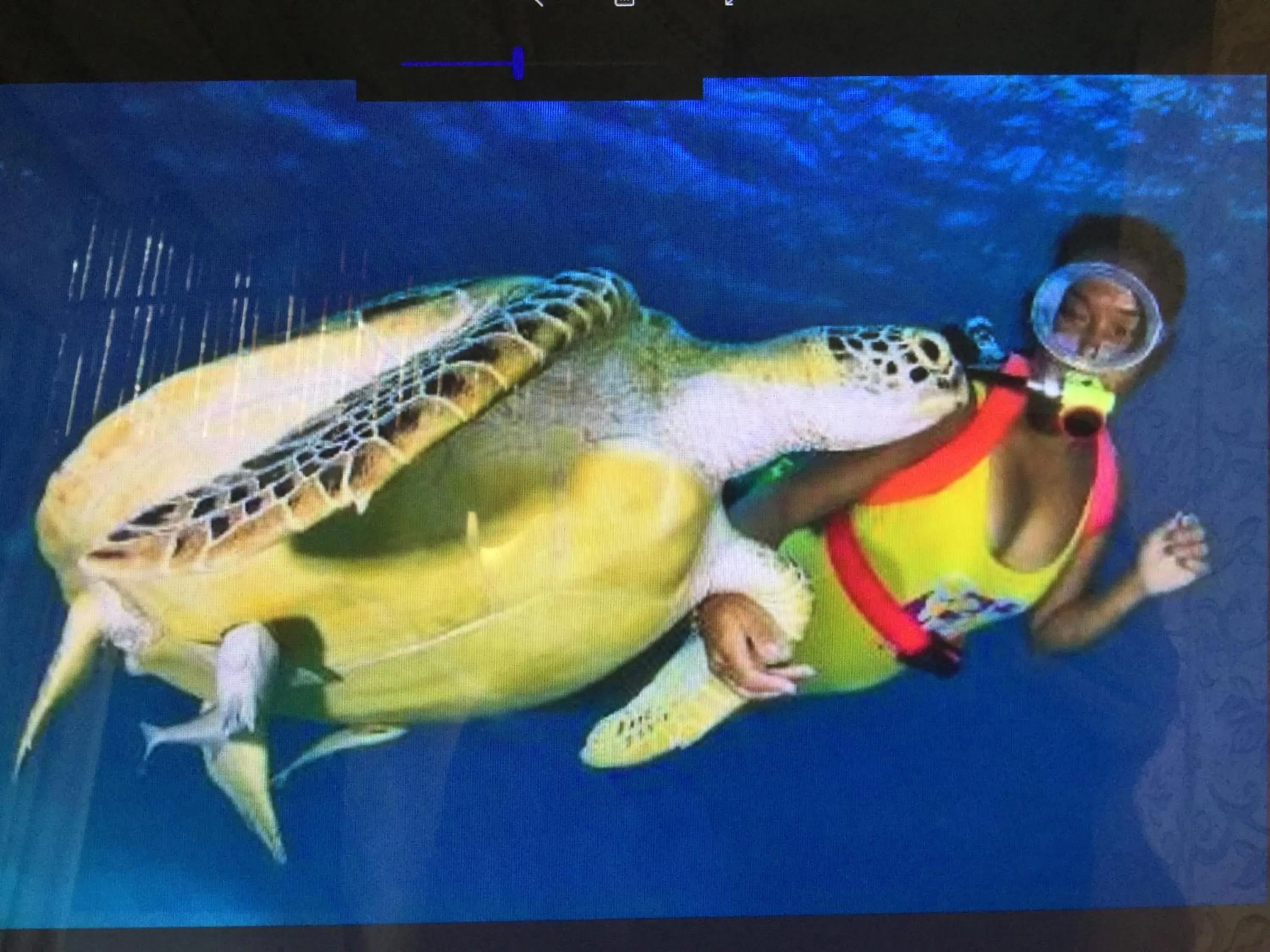 Snorkeling in Turtle Cove Exclusive Island Resort