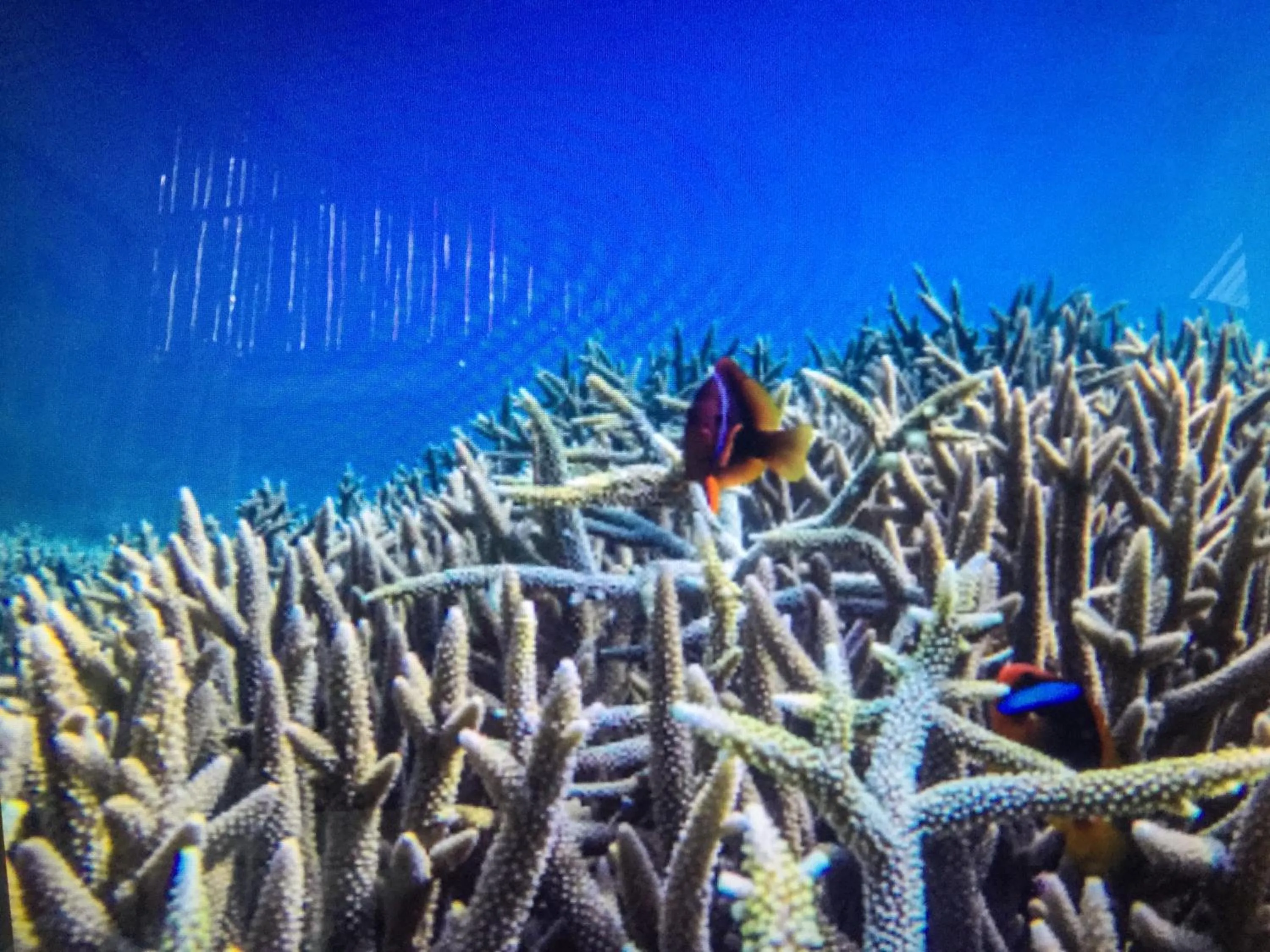 Natural landscape in Turtle Cove Exclusive Island Resort