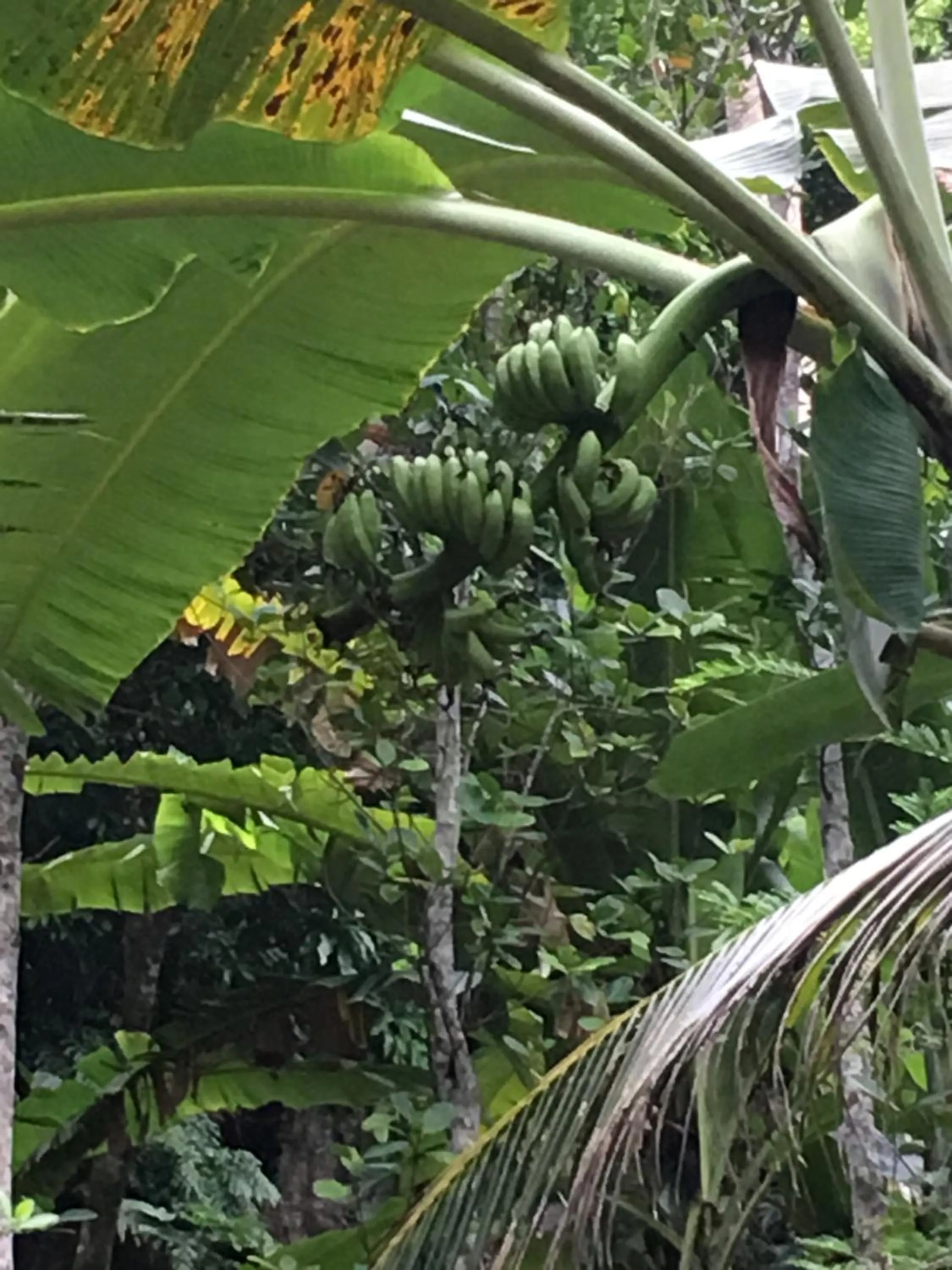 Turtle Cove Exclusive Island Resort