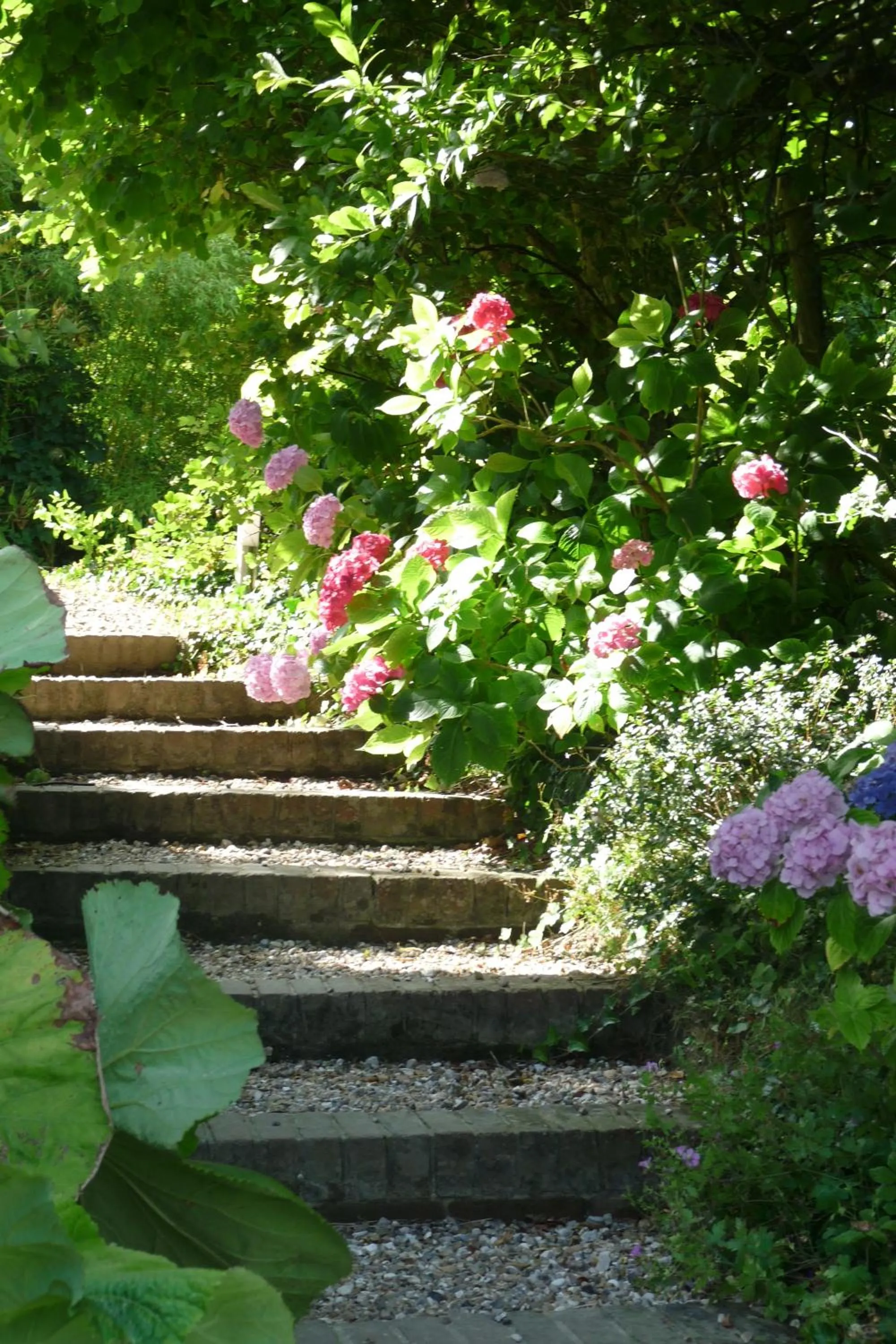 Garden in Castel De La Terrasse