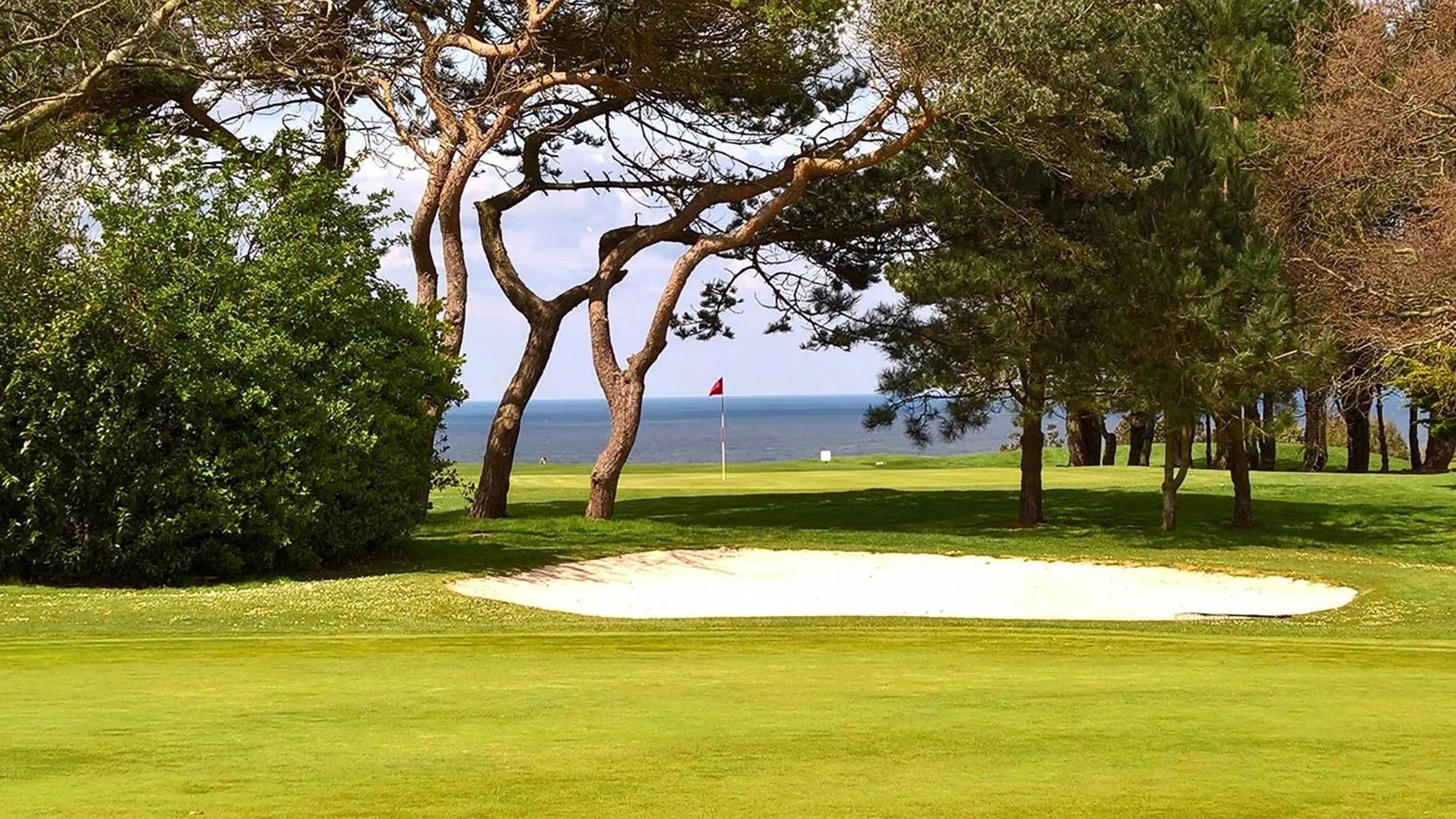 Golfcourse in Castel De La Terrasse