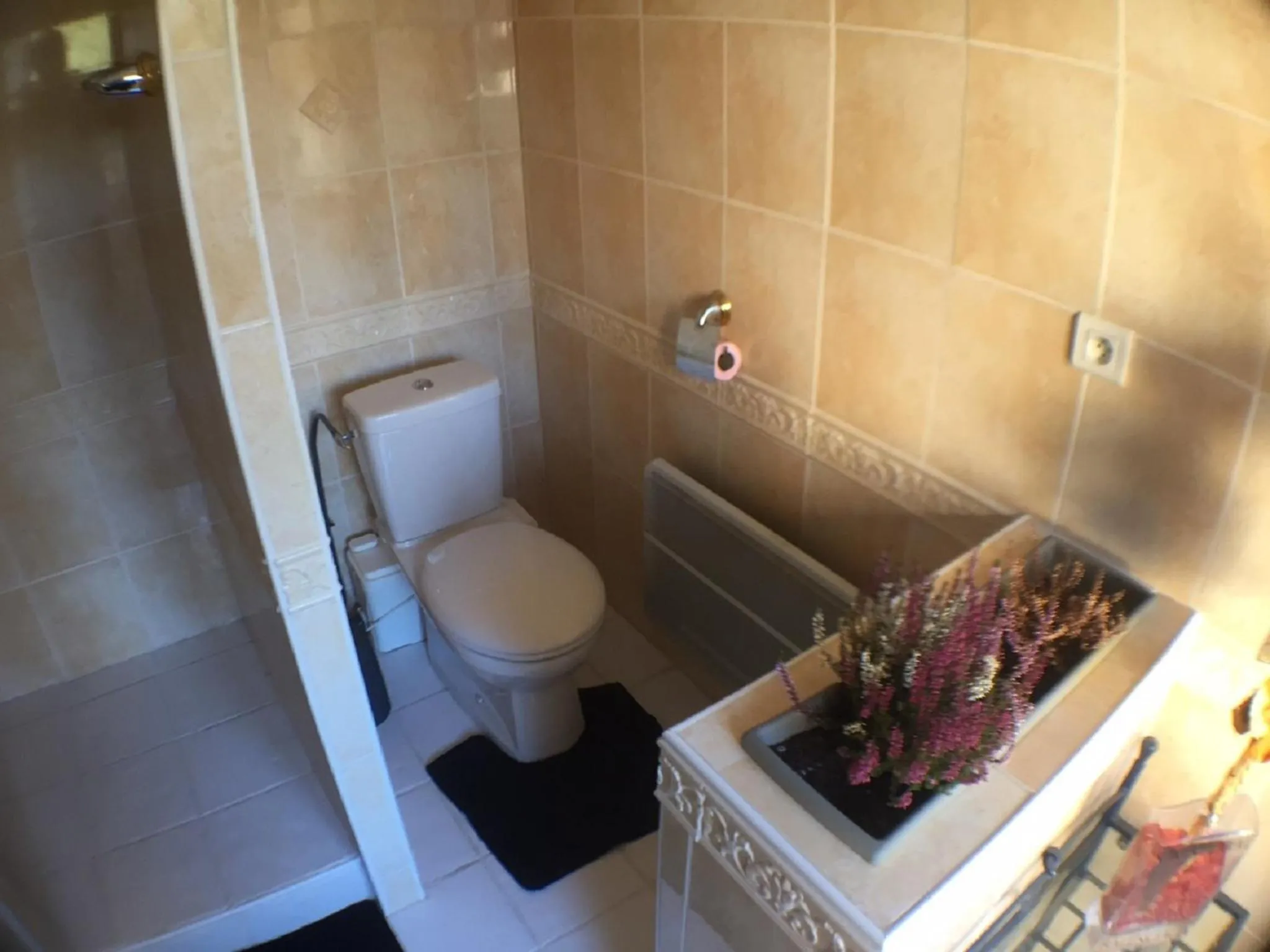 Toilet in Le Beauvaisis