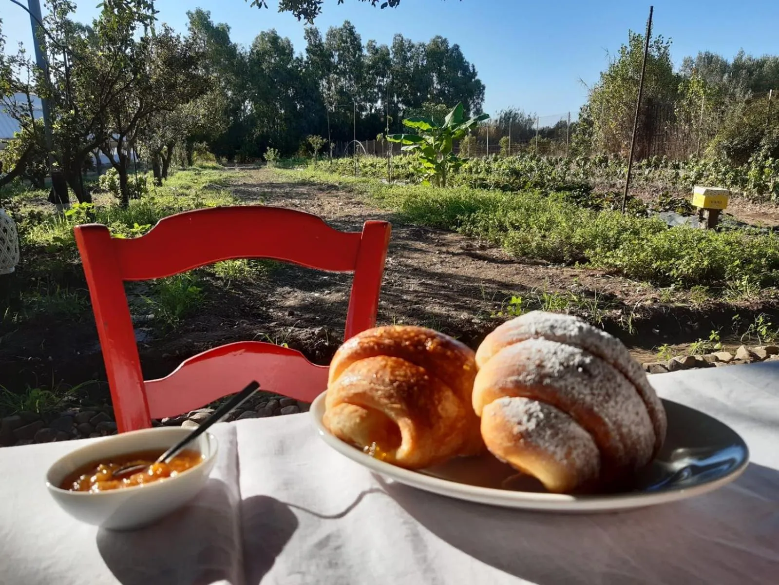 AGRIB&B Il Pomo d'oro