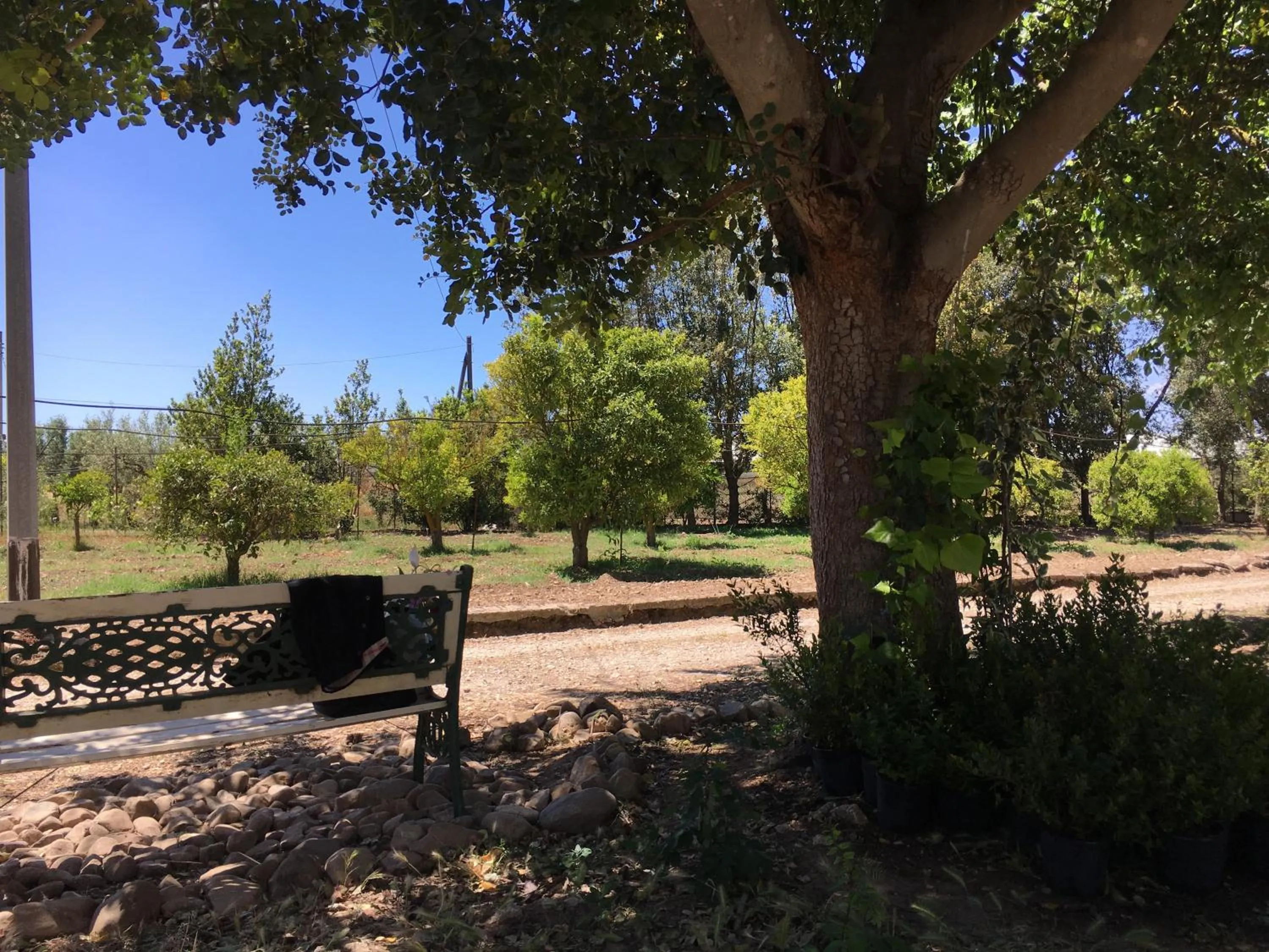 Garden in AGRIB&B Il Pomo d'oro