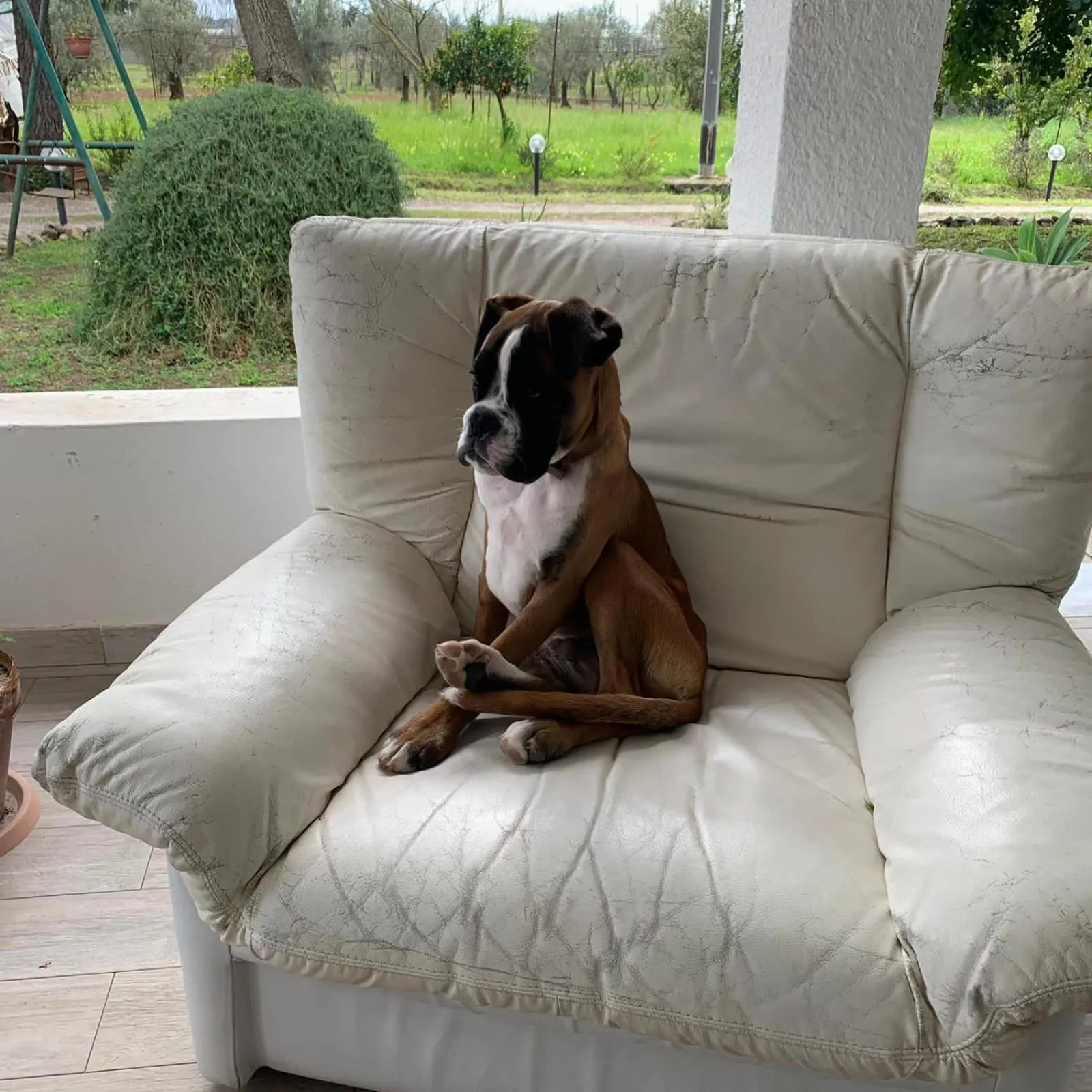 AGRIB&B Il Pomo d'oro