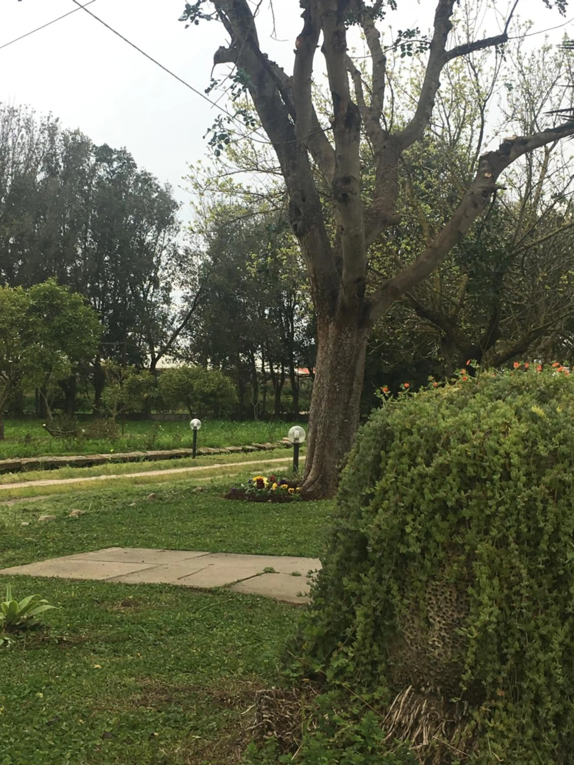 AGRIB&B Il Pomo d'oro