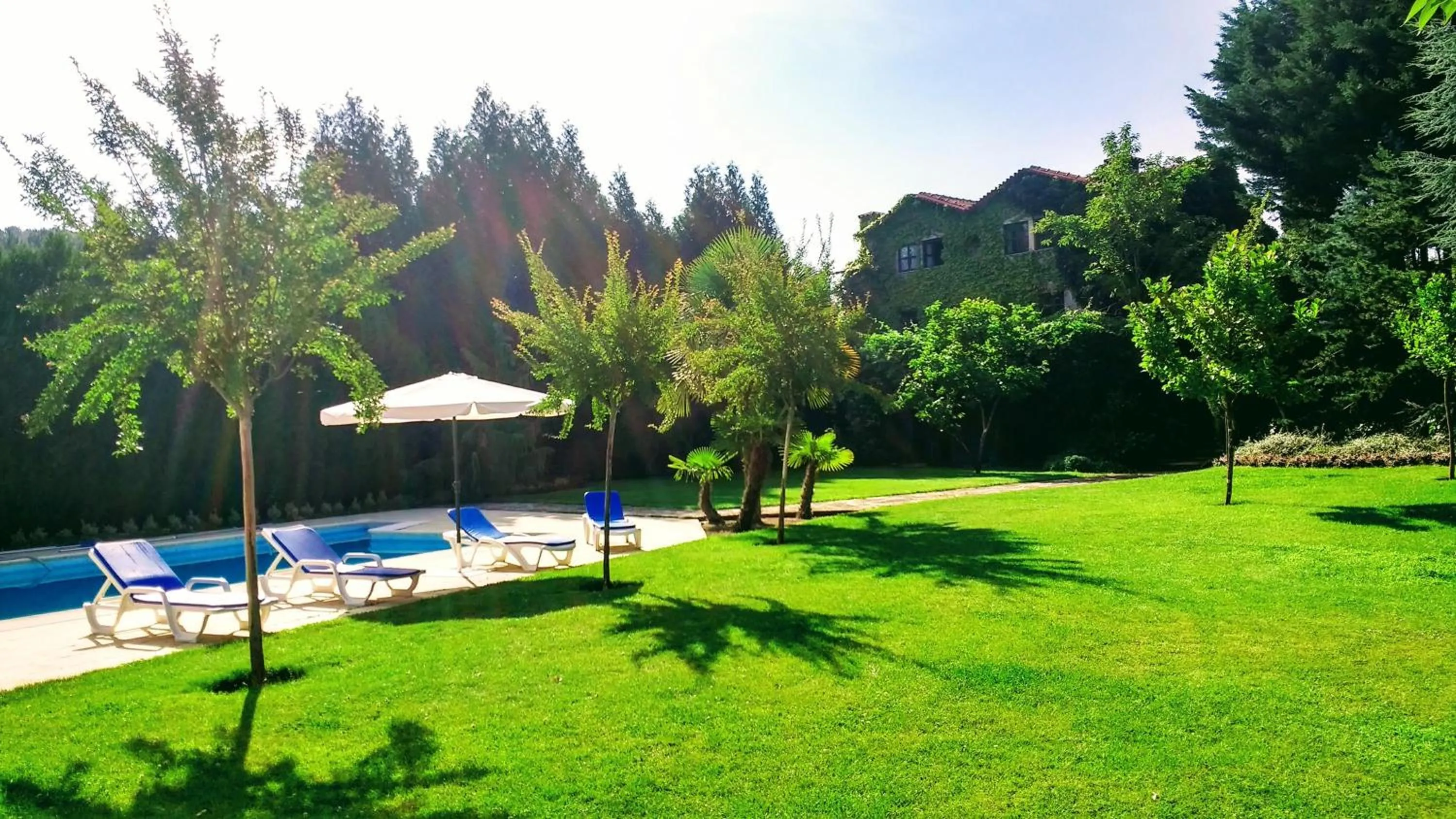 Garden in Casa Do Prado Guesthouse