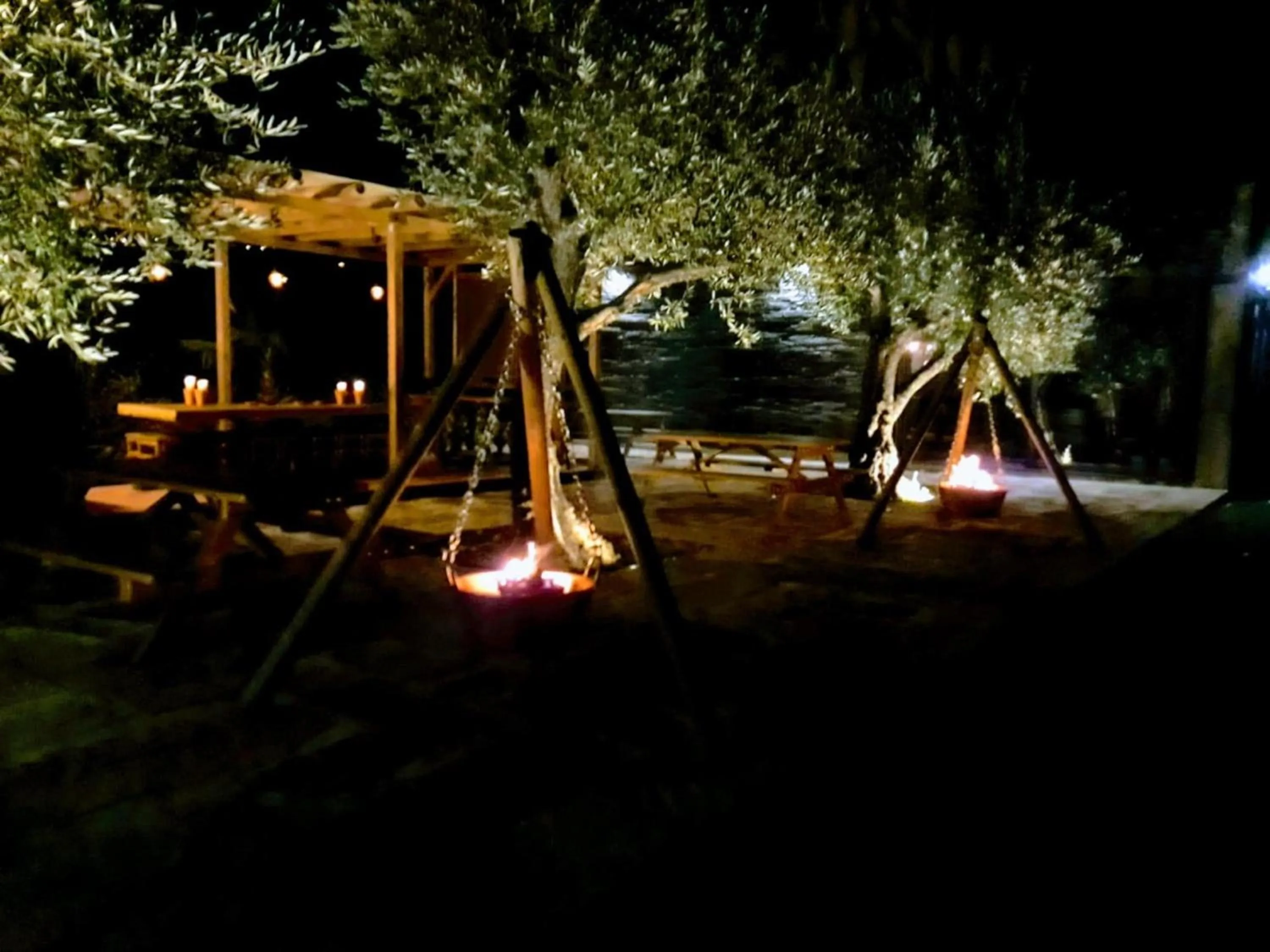 Garden in Casa Do Prado Guesthouse