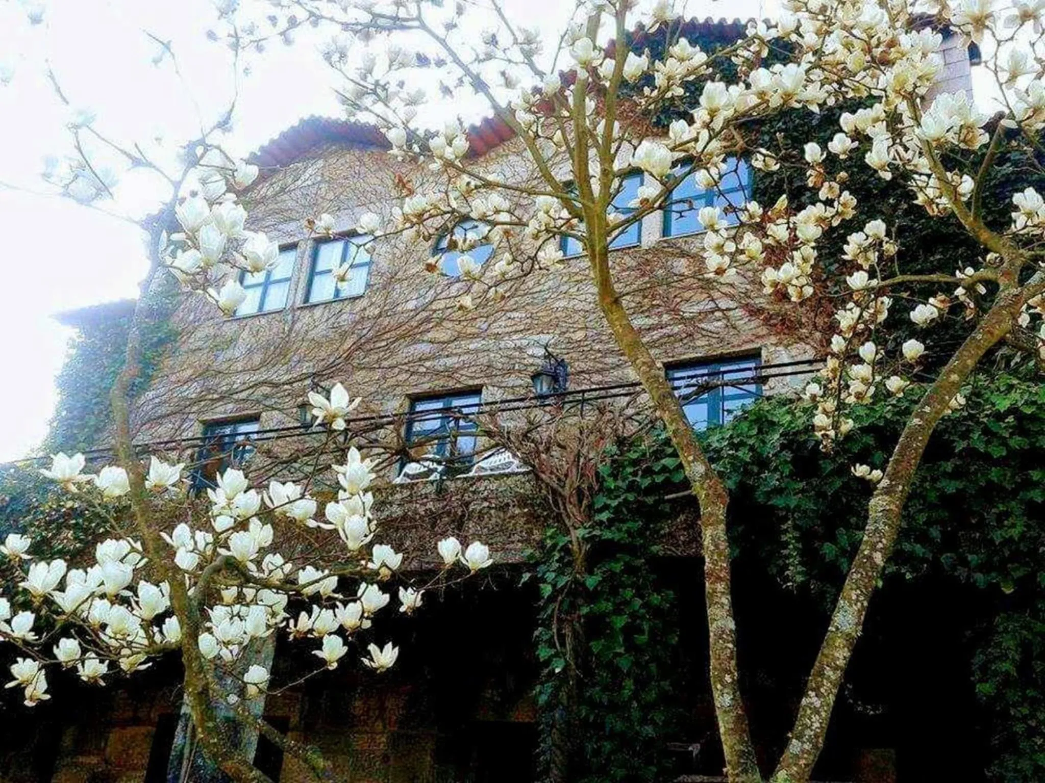 Garden view in Casa Do Prado Guesthouse