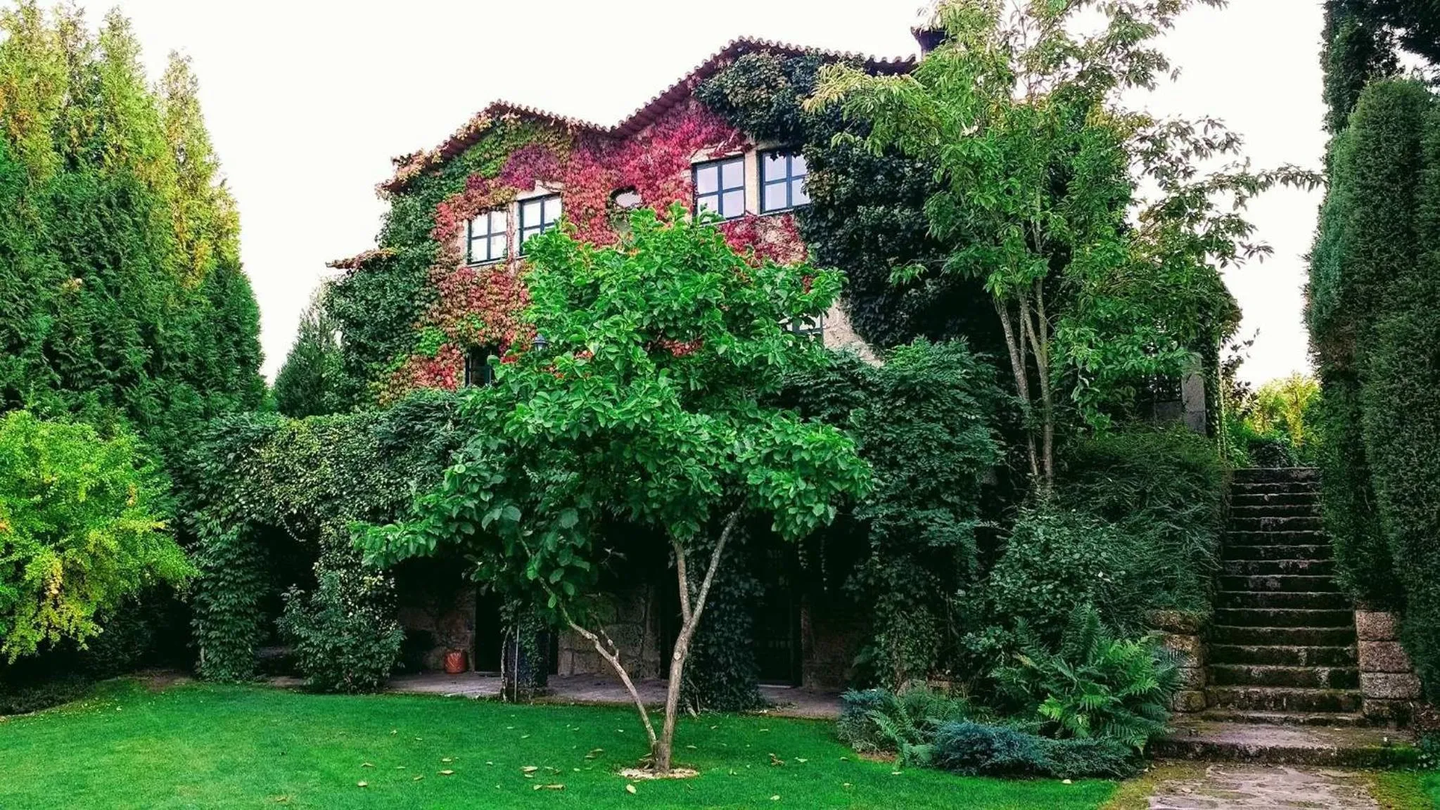 Garden view in Casa Do Prado Guesthouse