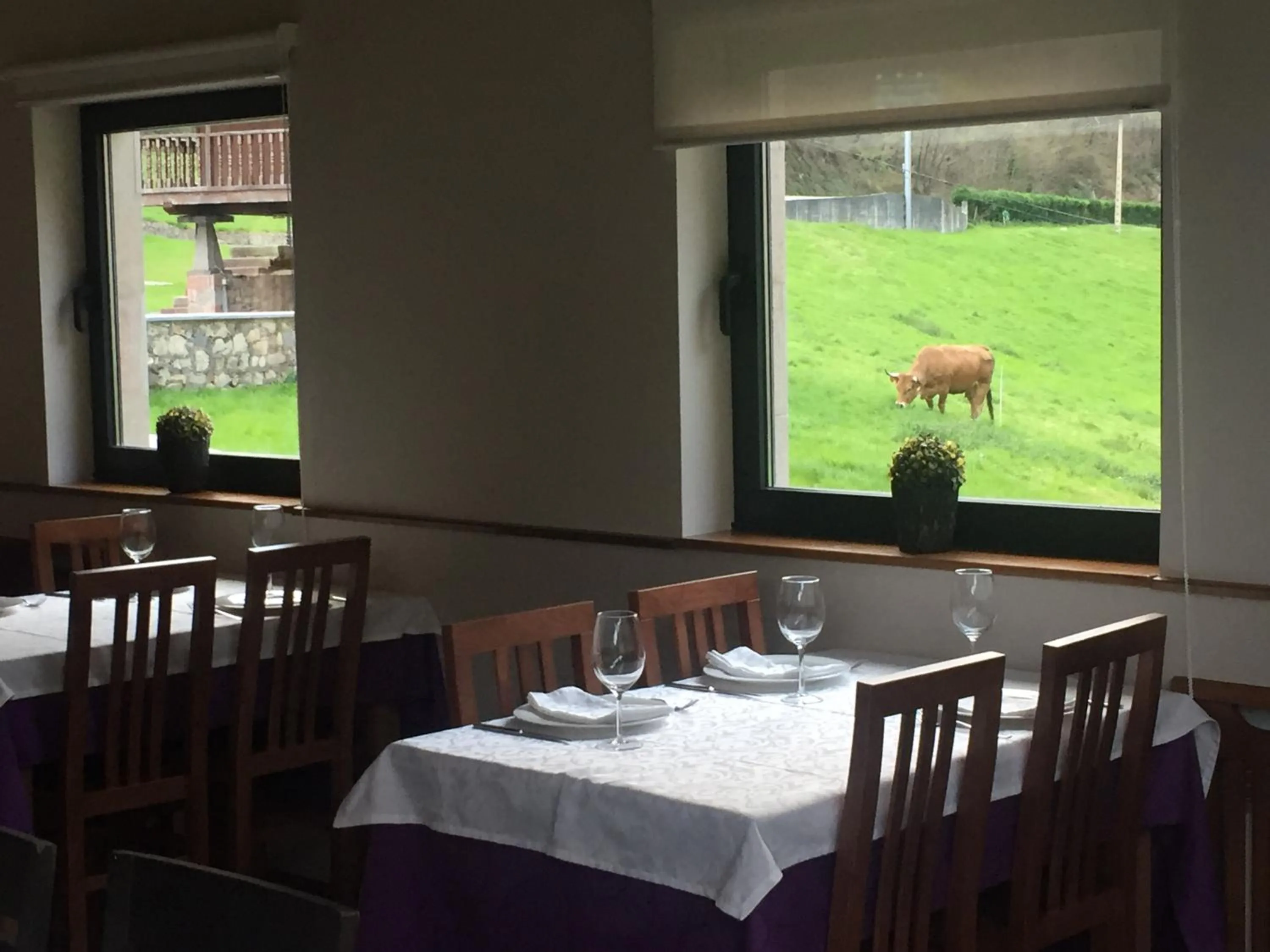 Restaurant/places to eat in La Casona de Rey