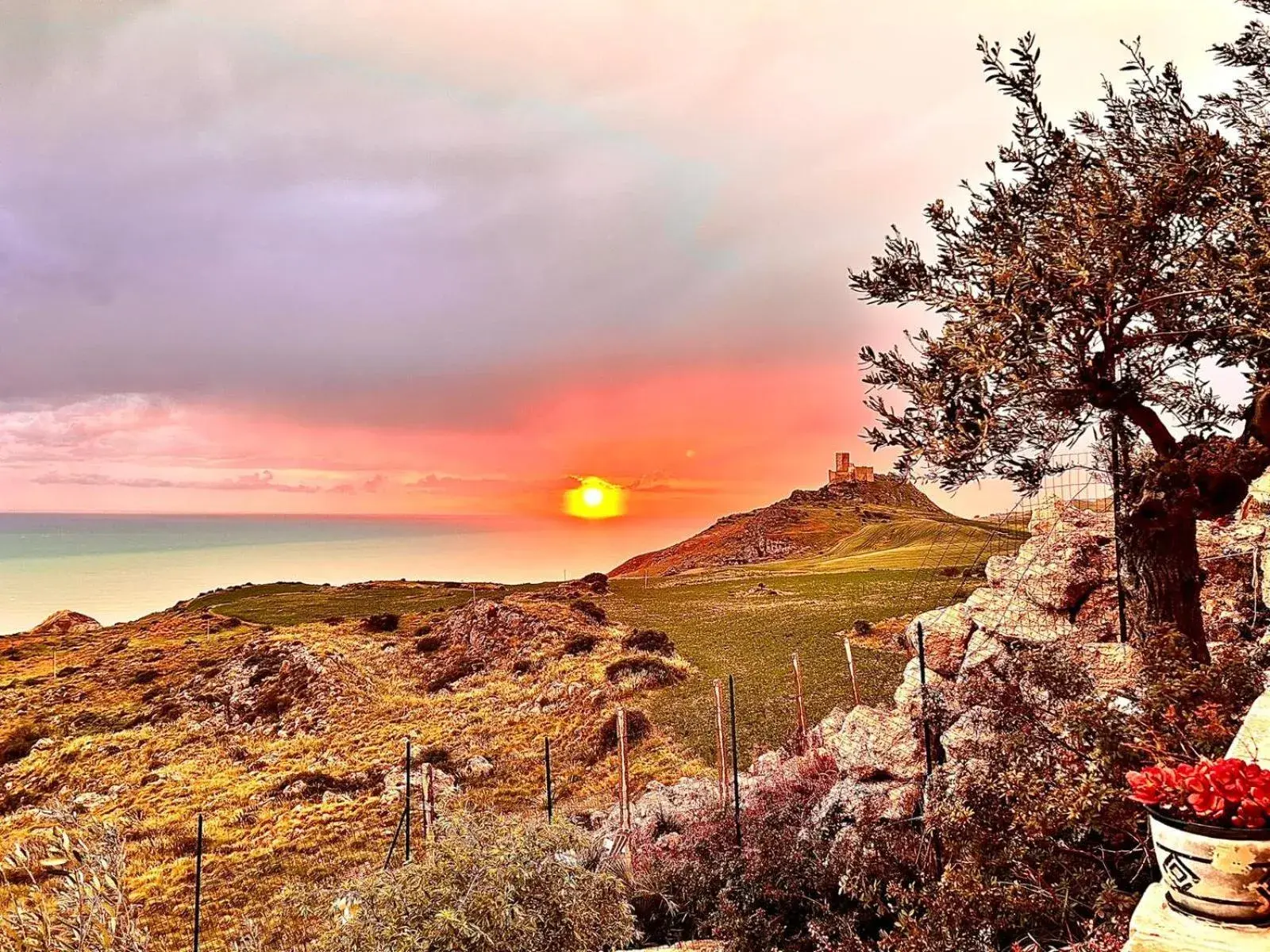 View (from property/room) in La Collina sul Mare View (from property/room) in La Collina sul Mare