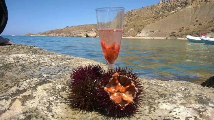 Beach in La Collina sul Mare