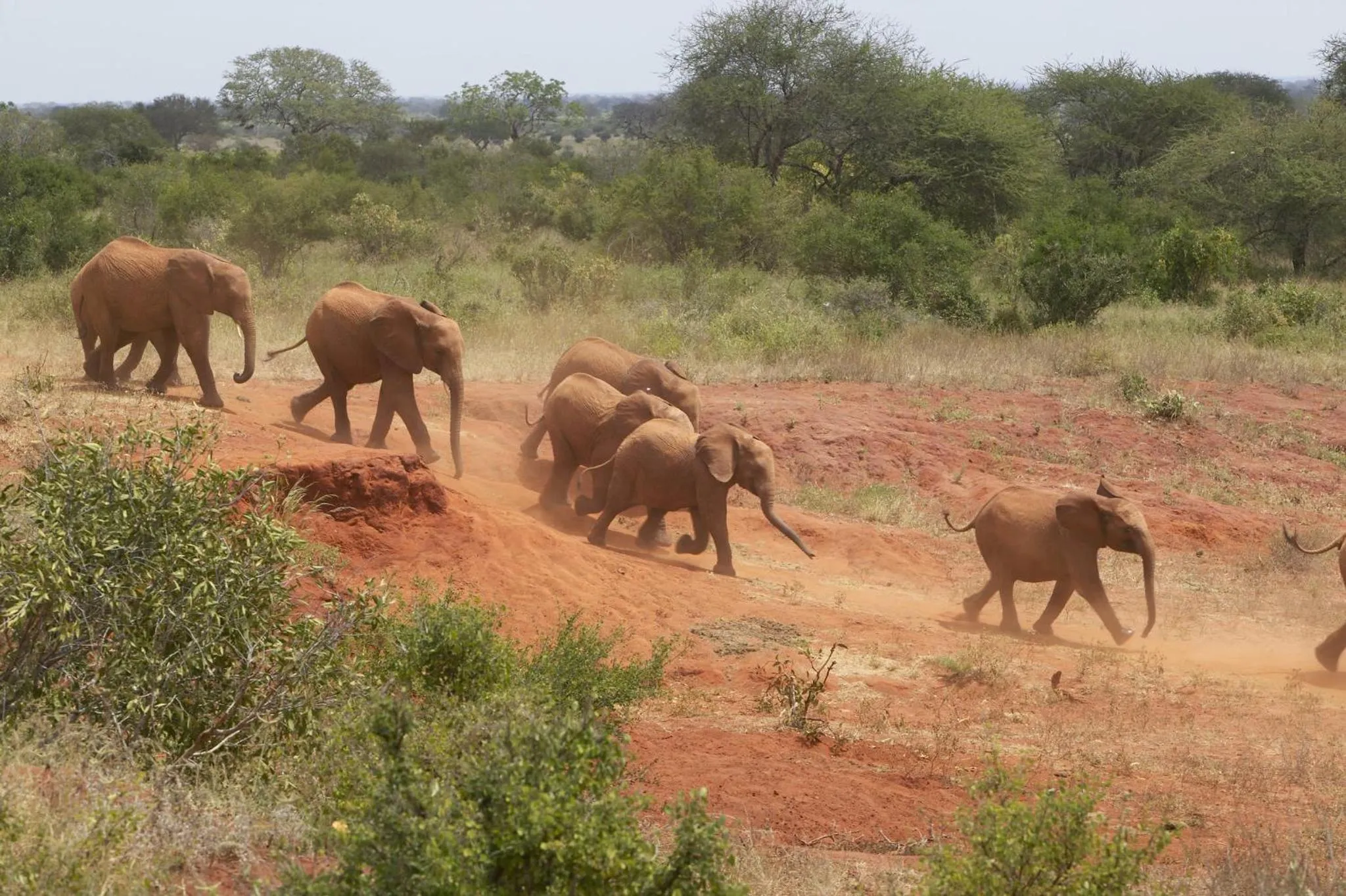 Nearby landmark in Crowne Plaza Nairobi Airport by IHG