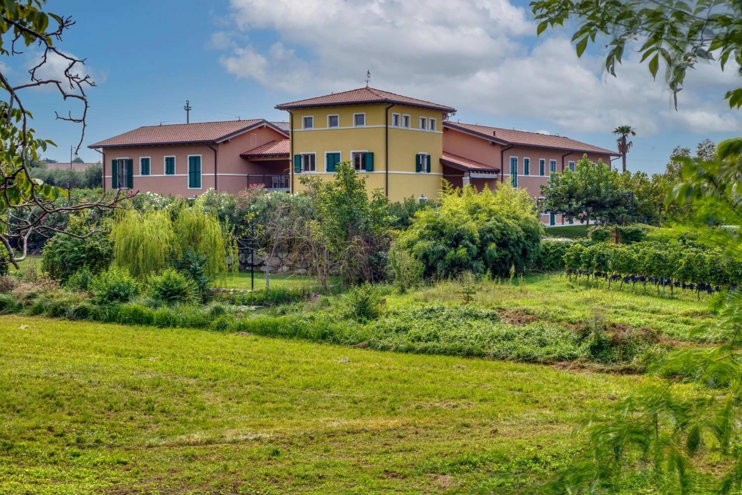 Natural landscape in Tenuta di Palú