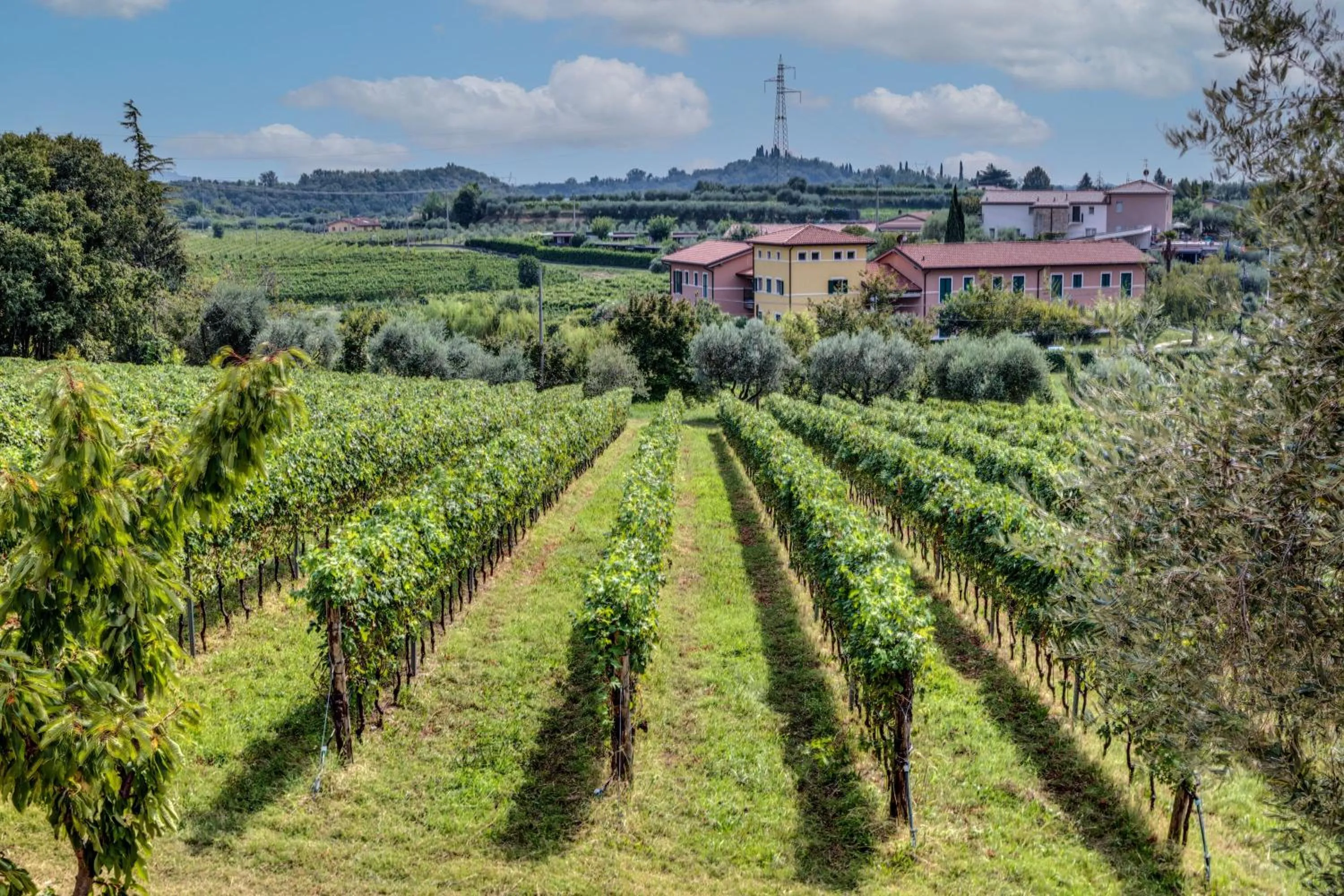Natural landscape in Tenuta di Palú