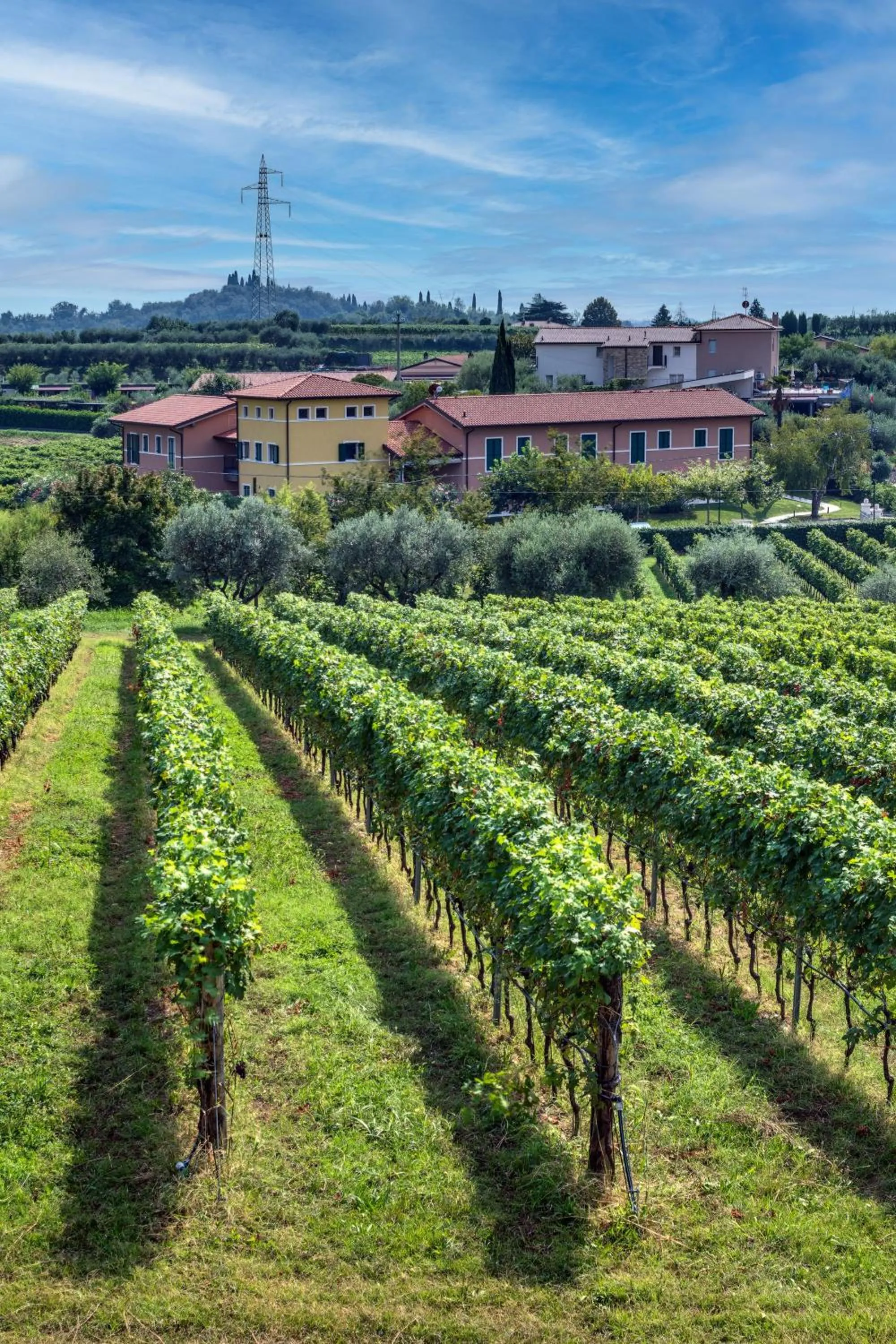 Natural landscape in Tenuta di Palú