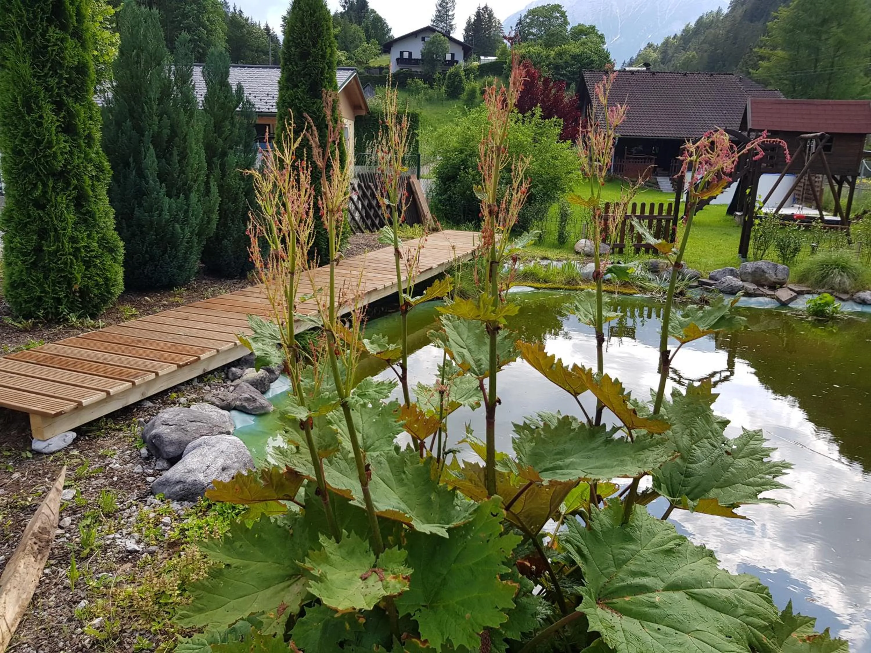Garden in Holzhaus in Hinterstoder