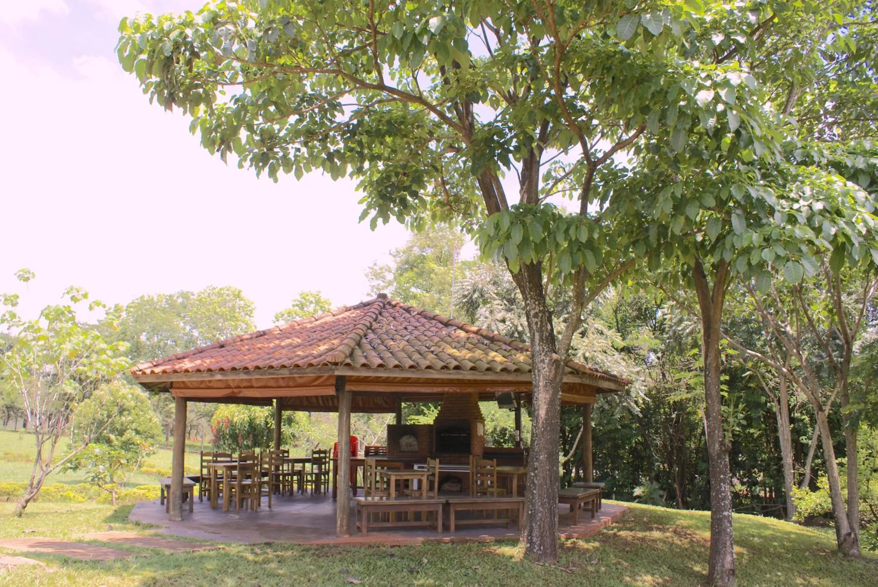 BBQ facilities in Hotel San Paolo