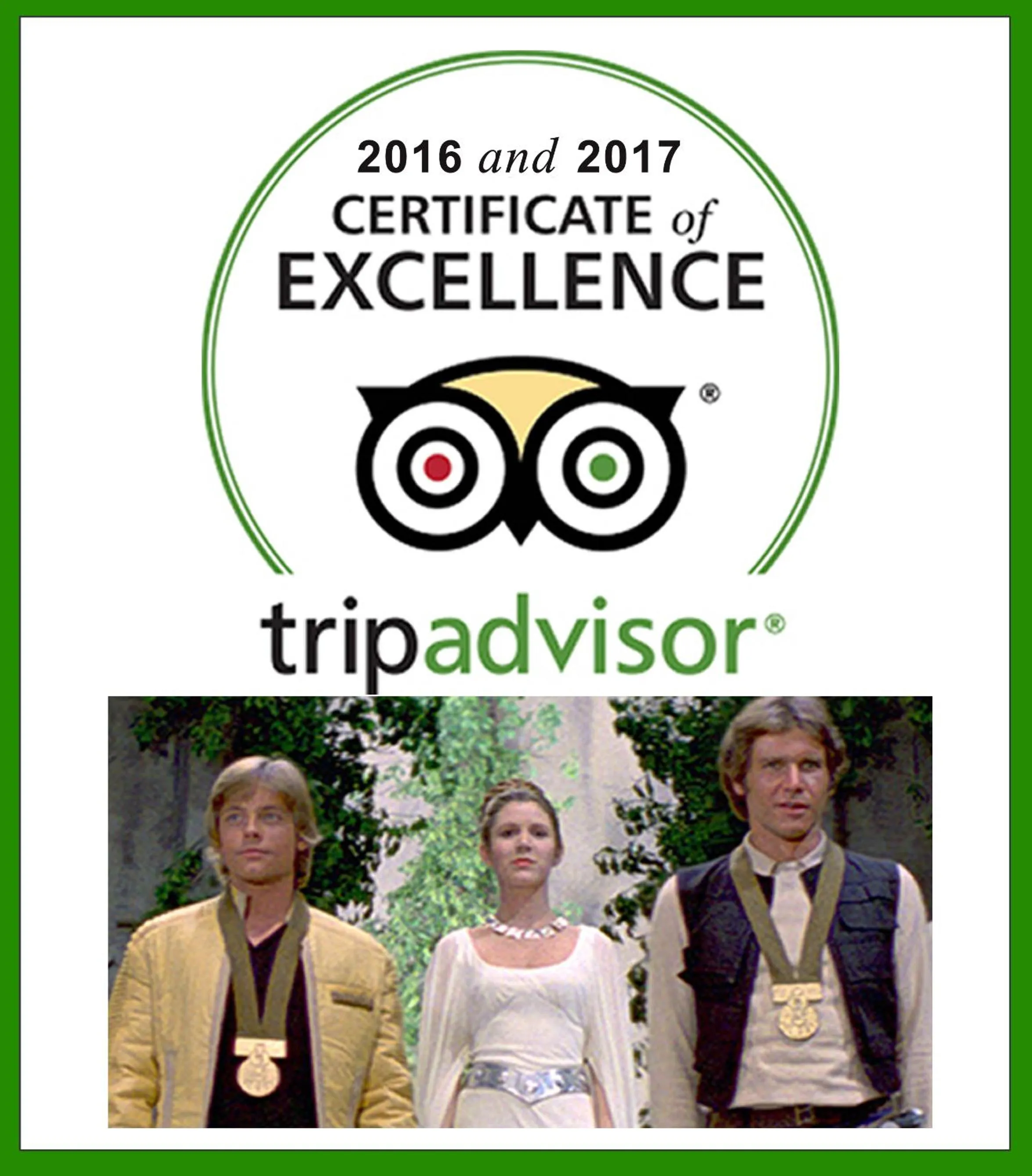 Certificate/Award in Itty Bitty Inn