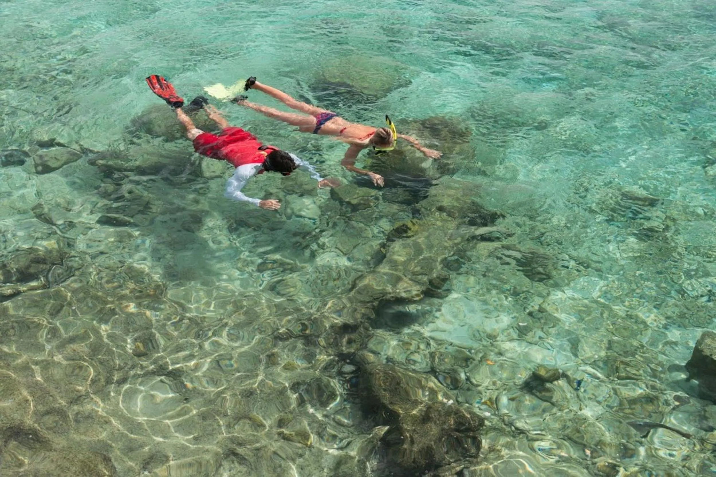 Snorkeling in Divi Flamingo Beach Resort