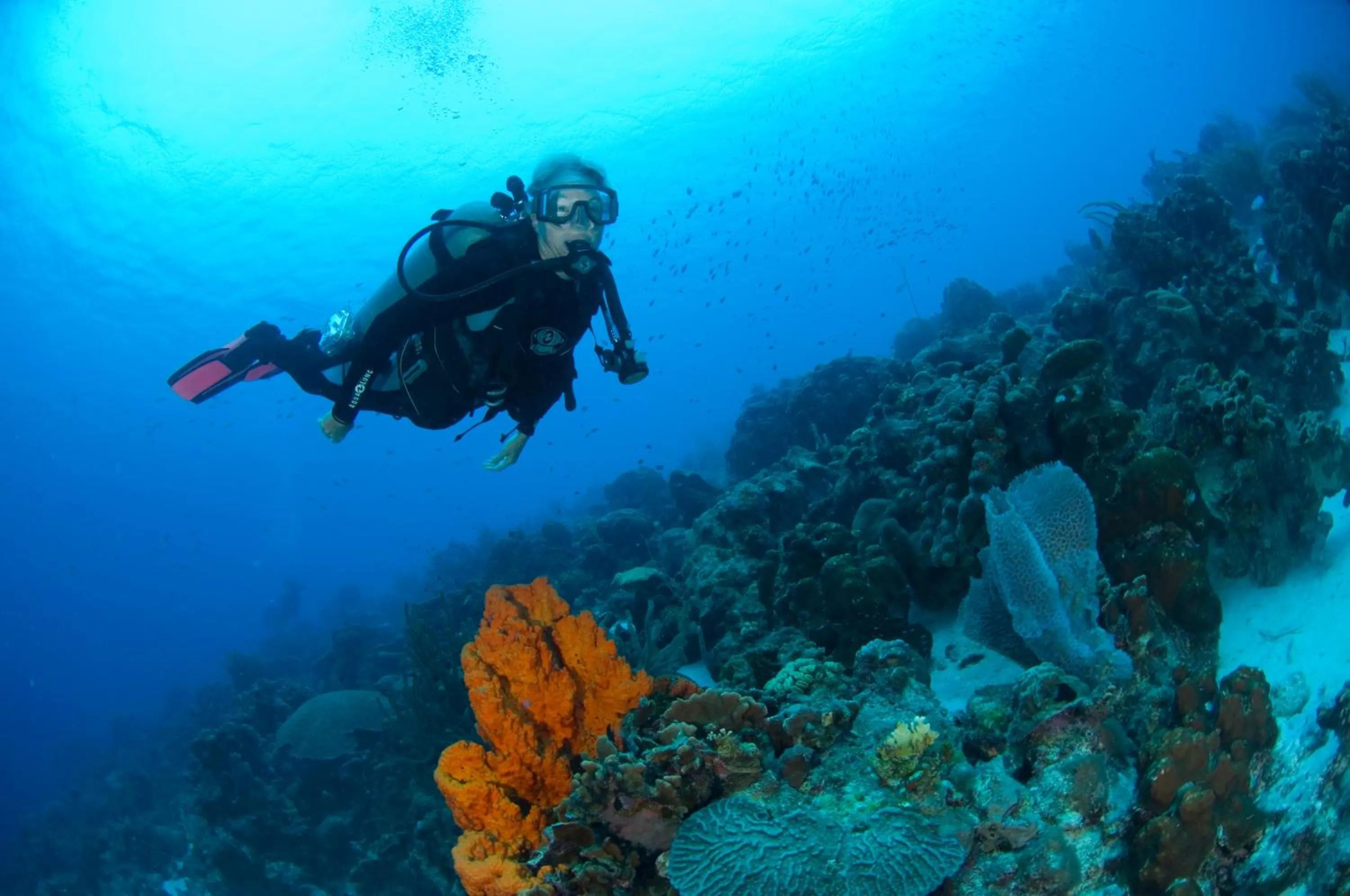 Diving in Divi Flamingo Beach Resort