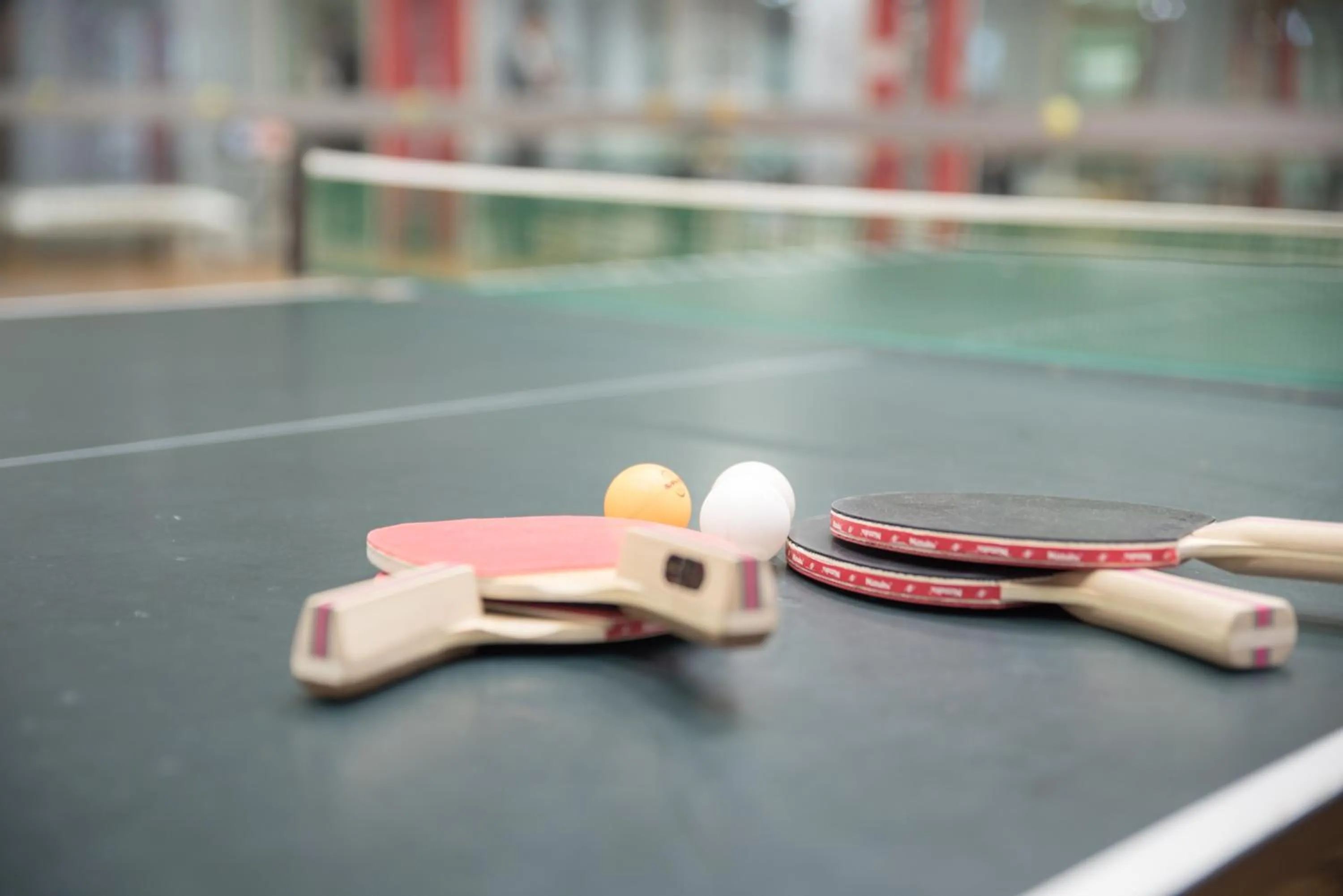 Table Tennis in Wisterian Life Club Verde no Mori