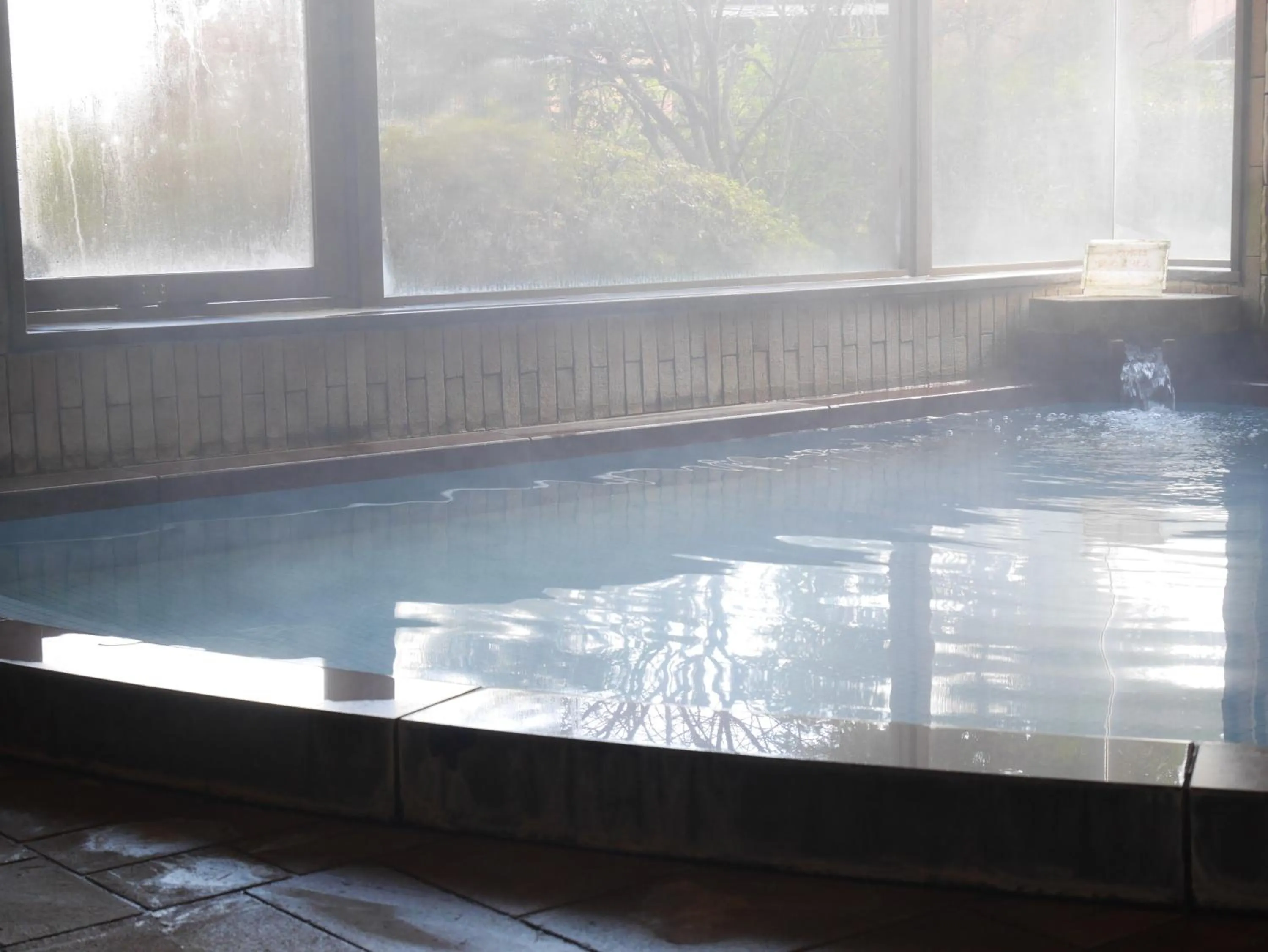 Hot Spring Bath, Swimming Pool in Wisterian Life Club Verde no Mori