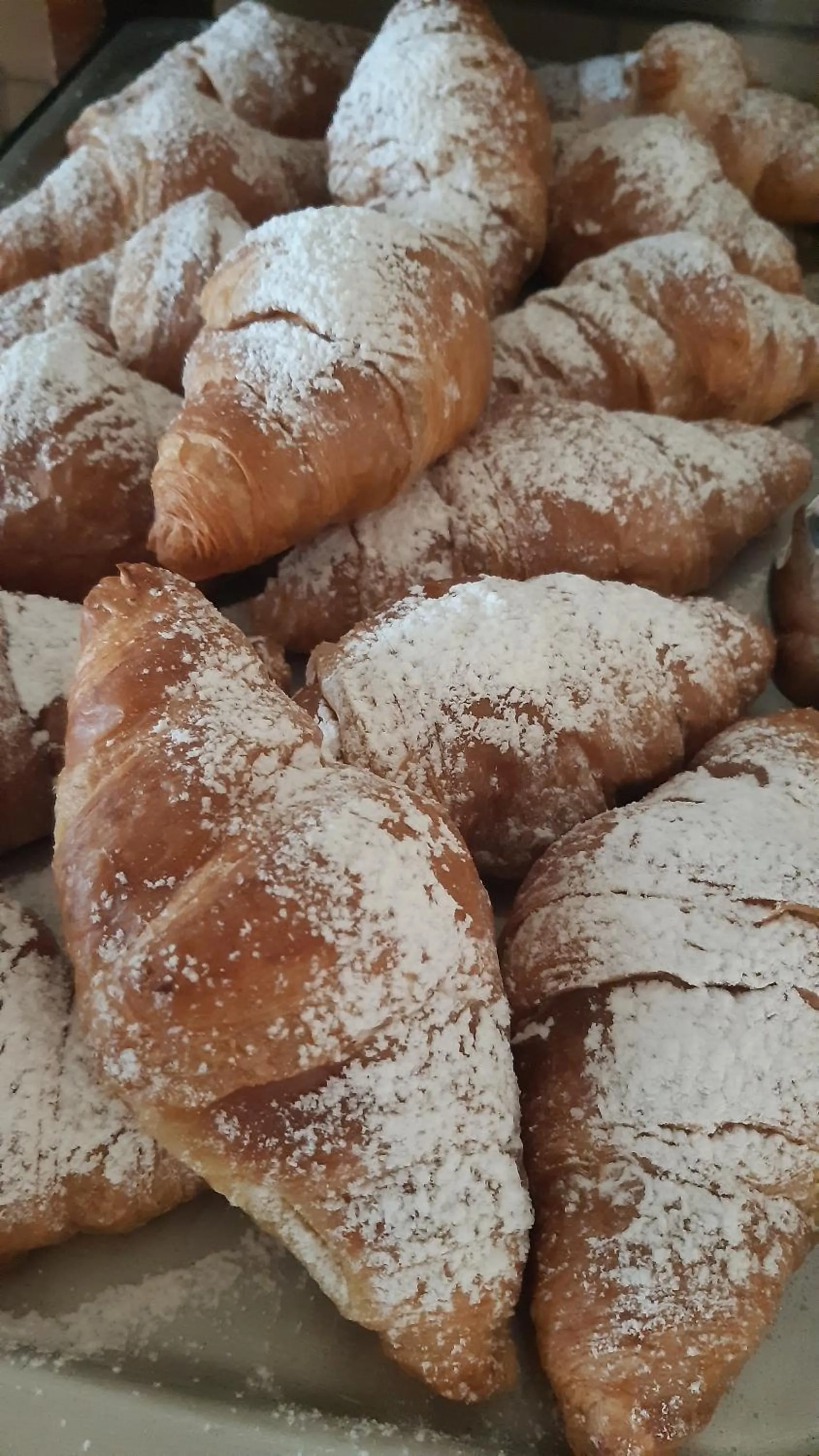 Hotel Elisabetta 2 stelle