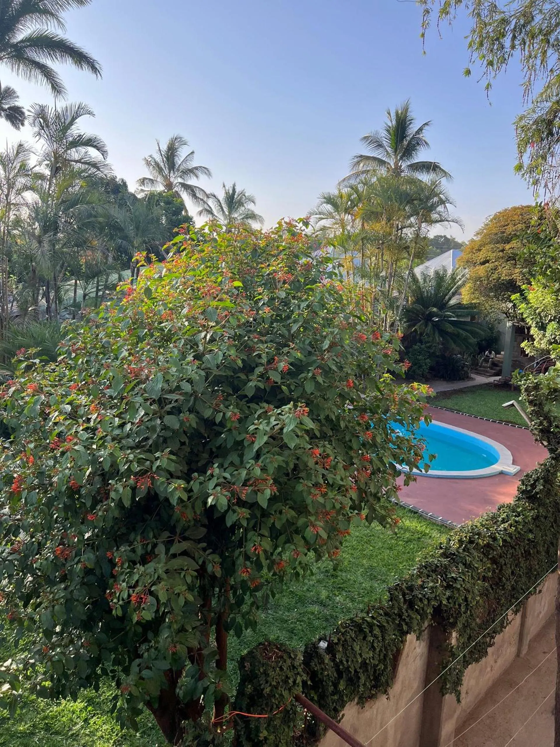 Day in The Paradise Inn Kilimanjaro