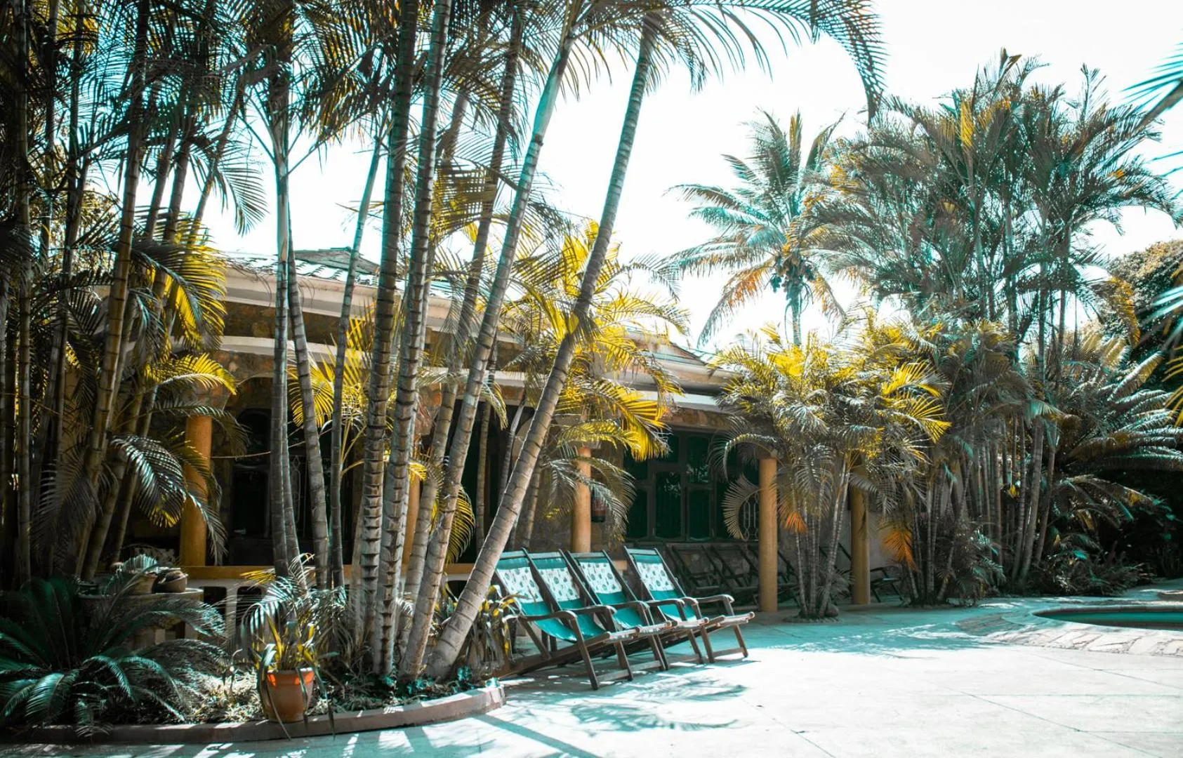 Swimming pool in The Paradise Inn Kilimanjaro