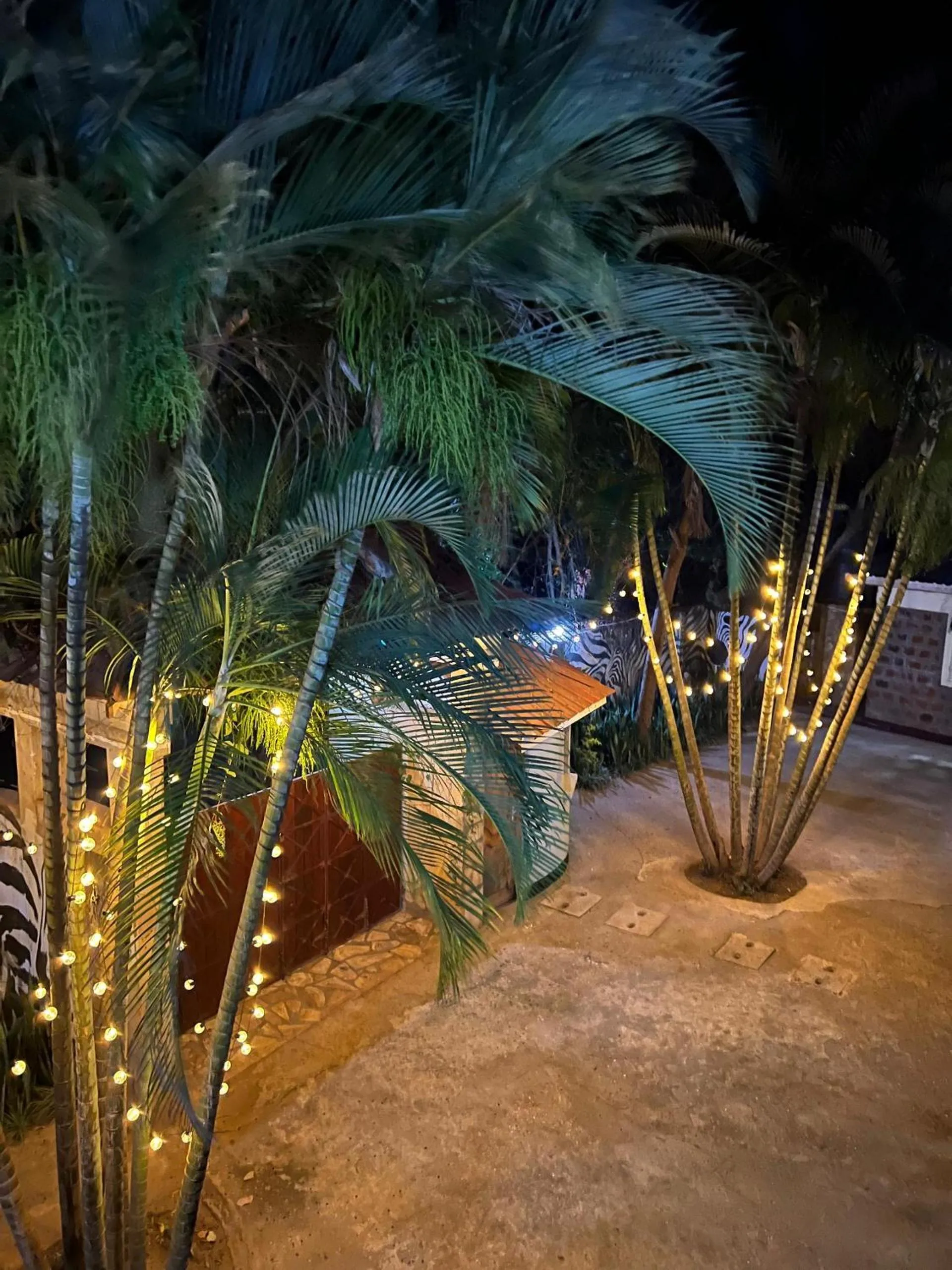 Facade/entrance in The Paradise Inn Kilimanjaro